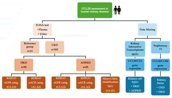 Ijms 26 10563 g0a1 Ijms 26 10563 g0a1