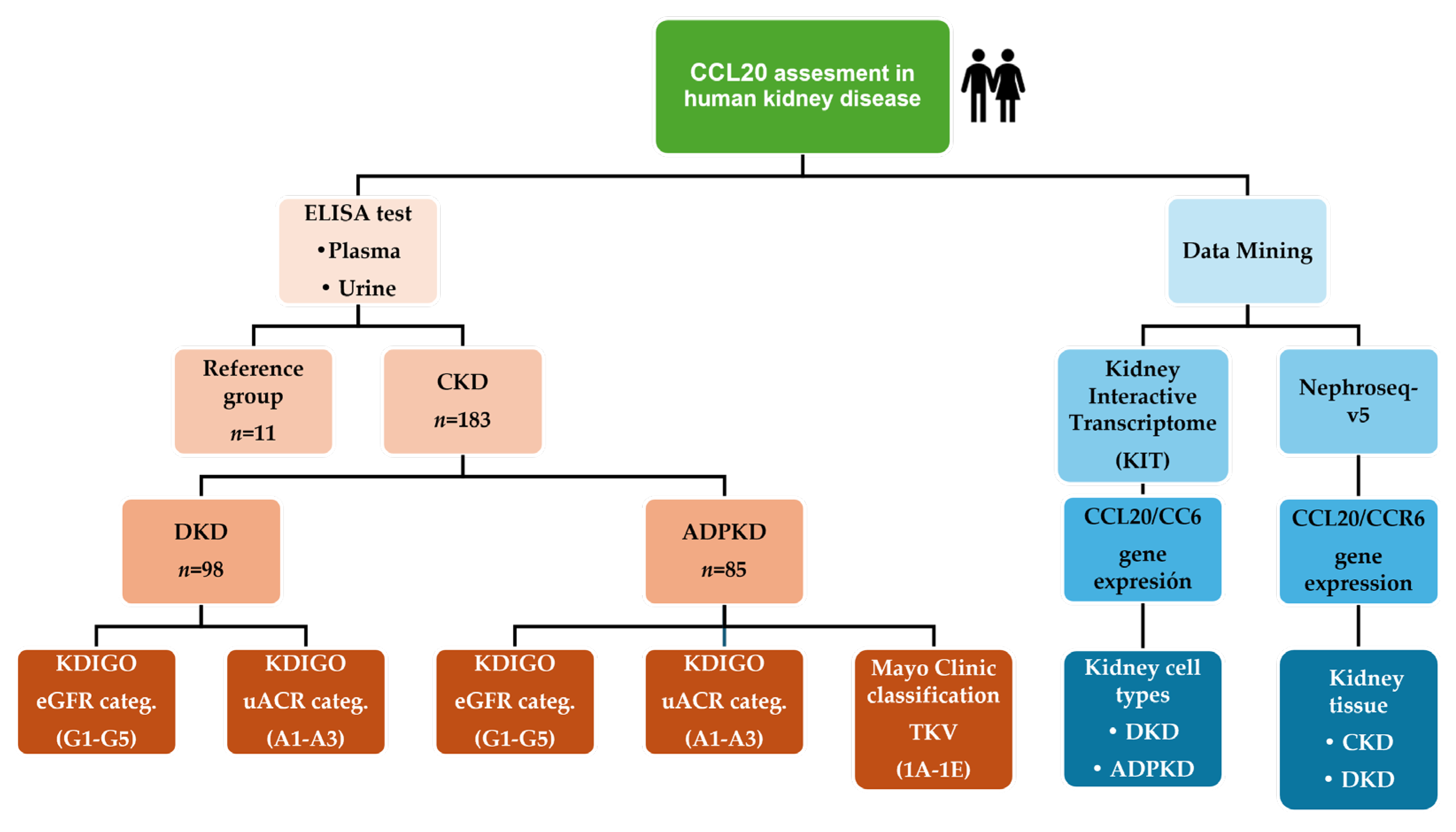 Ijms 26 10563 g0a1 Ijms 26 10563 g0a1