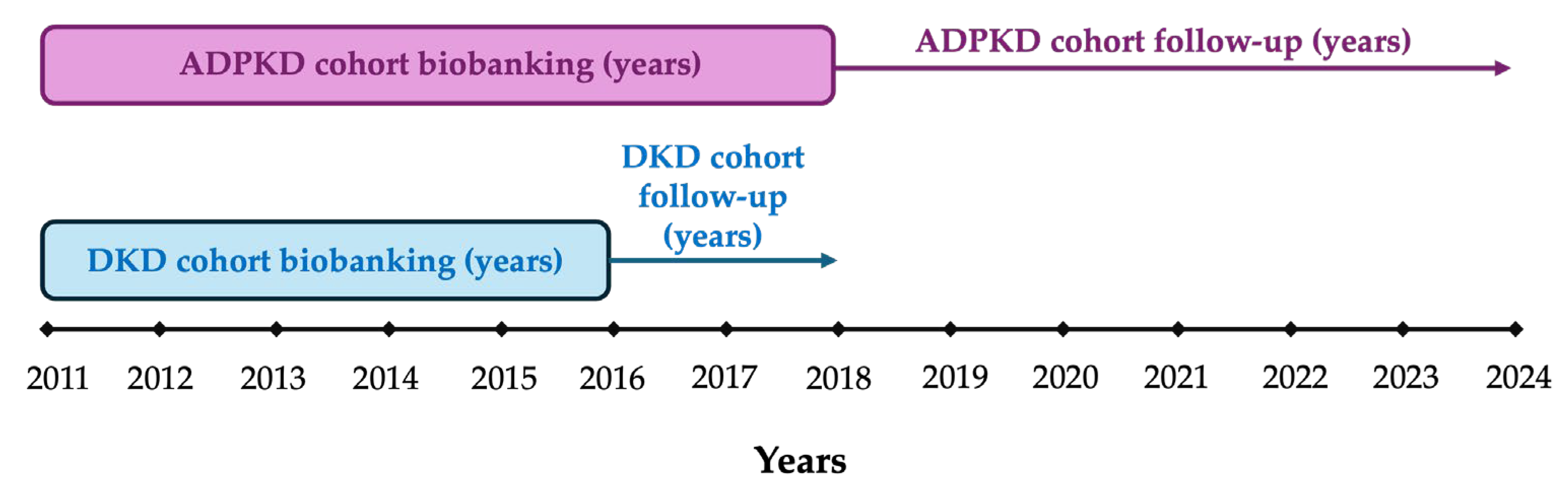 Ijms 26 10563 g0a3 Ijms 26 10563 g0a3