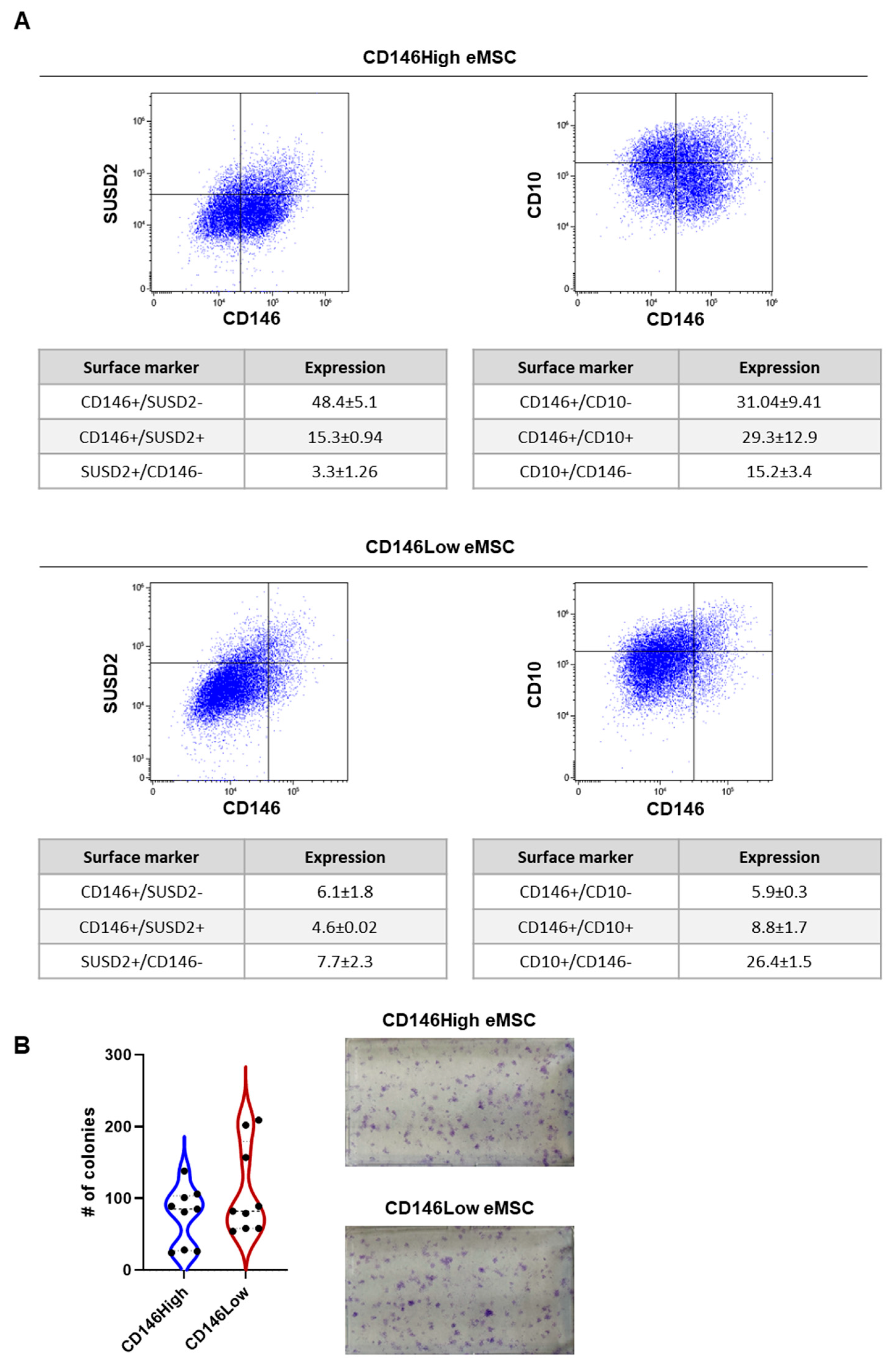 Ijms 26 10567 g001 Ijms 26 10567 g001