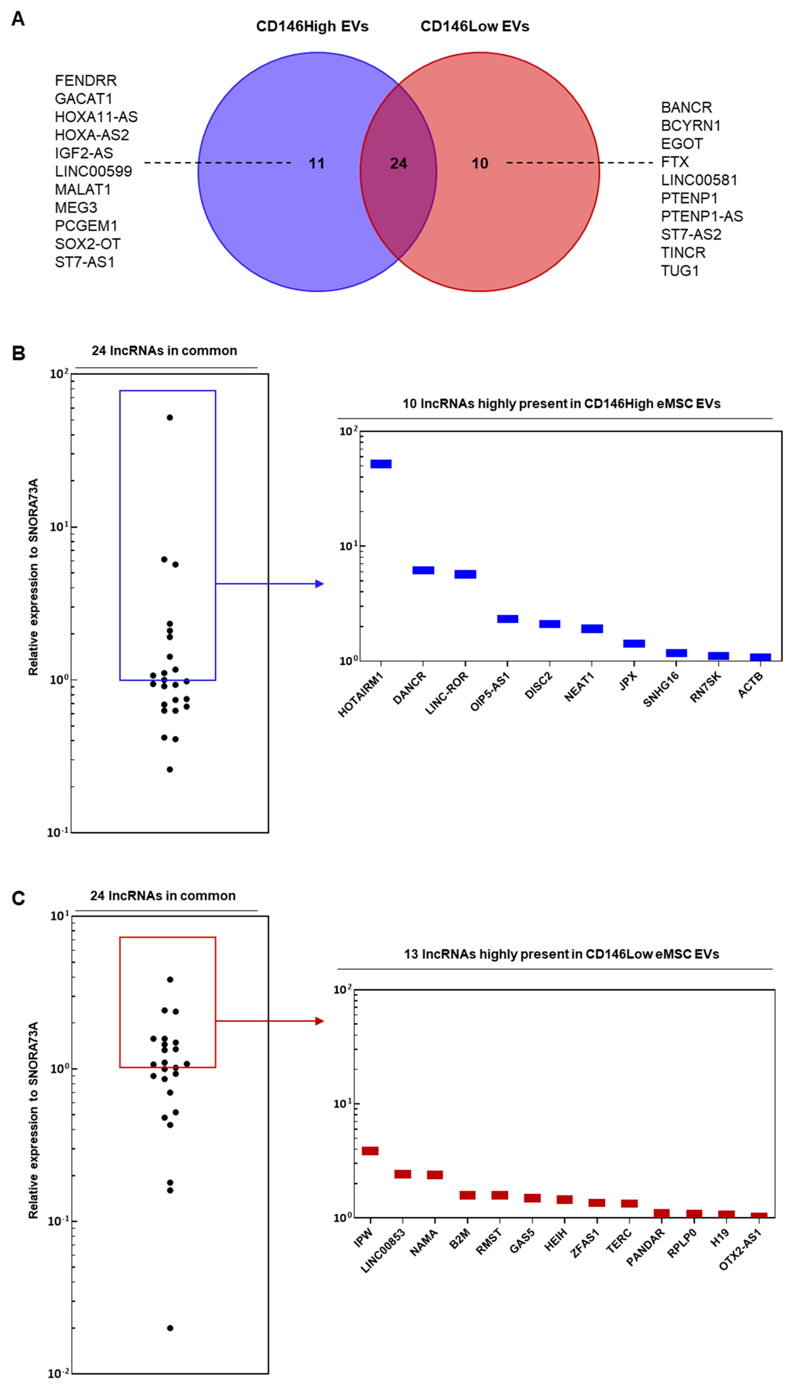 Ijms 26 10567 g002 Ijms 26 10567 g002