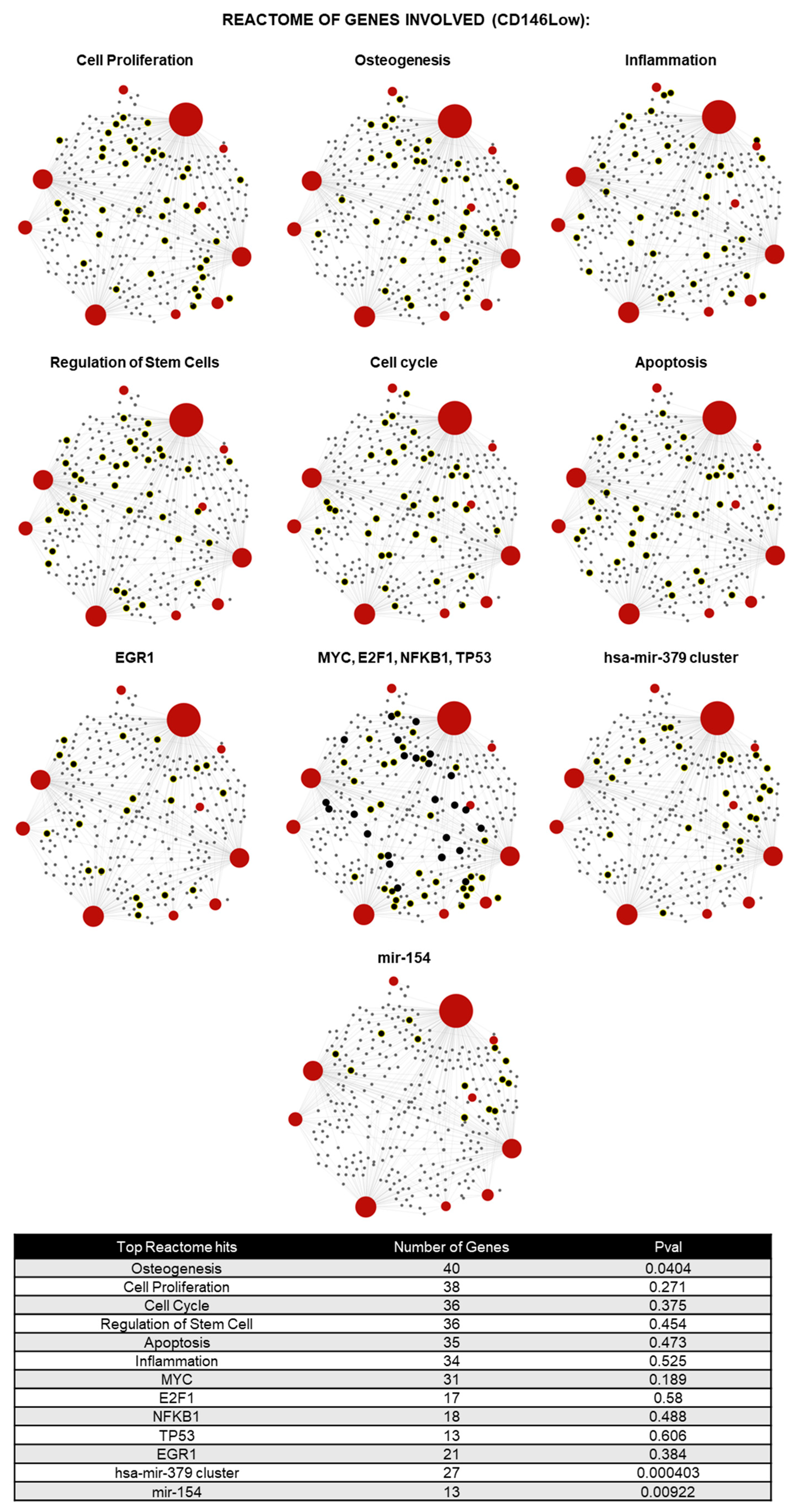 Ijms 26 10567 g004 Ijms 26 10567 g004