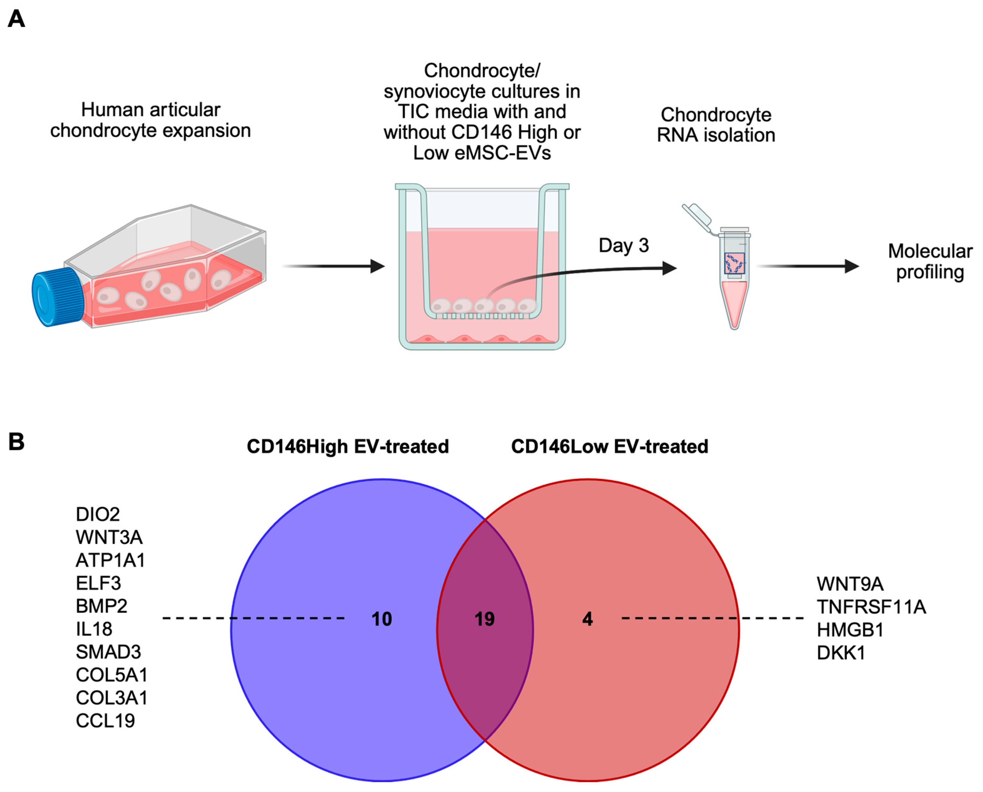 Ijms 26 10567 g005 Ijms 26 10567 g005