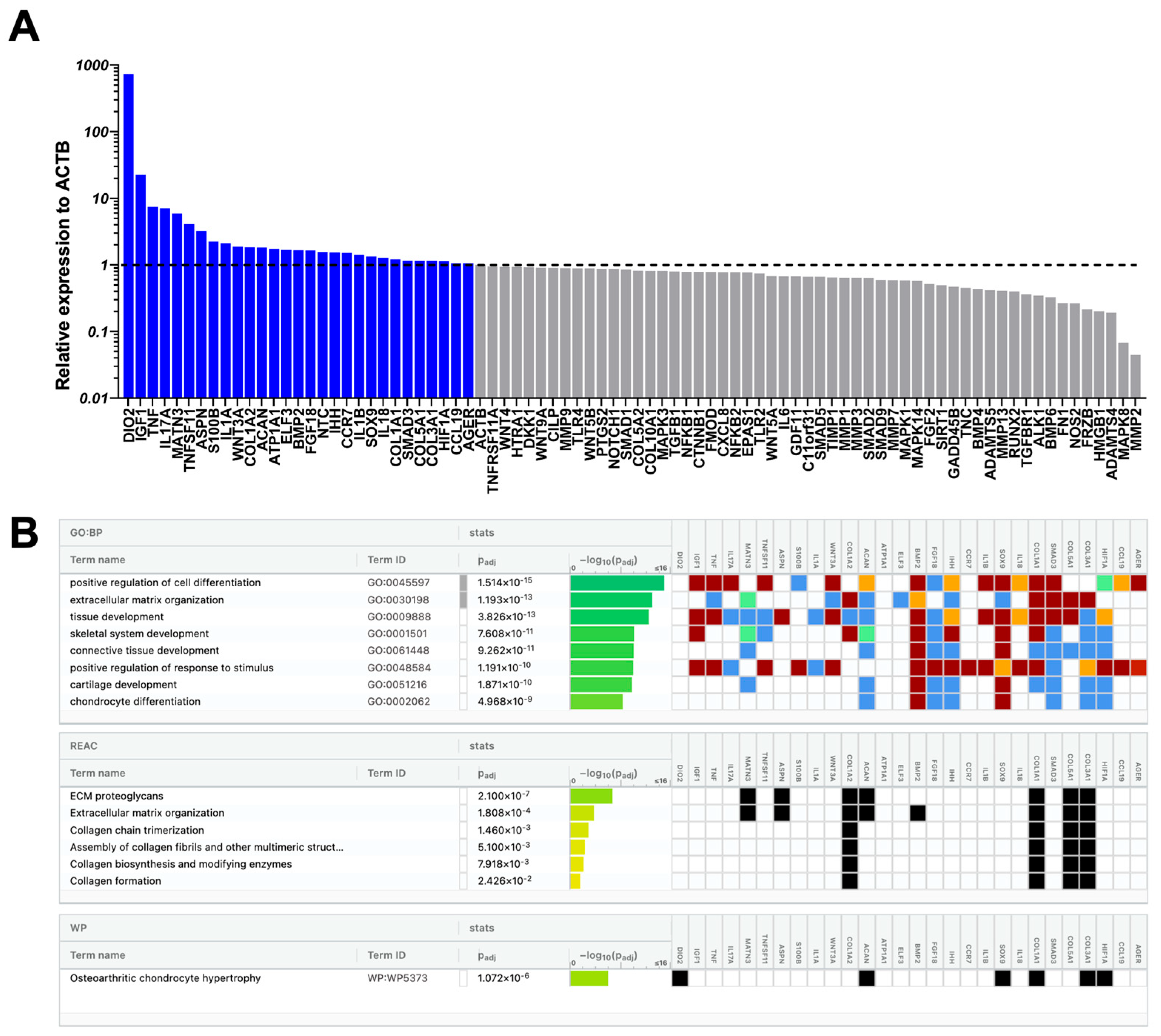 Ijms 26 10567 g006 Ijms 26 10567 g006