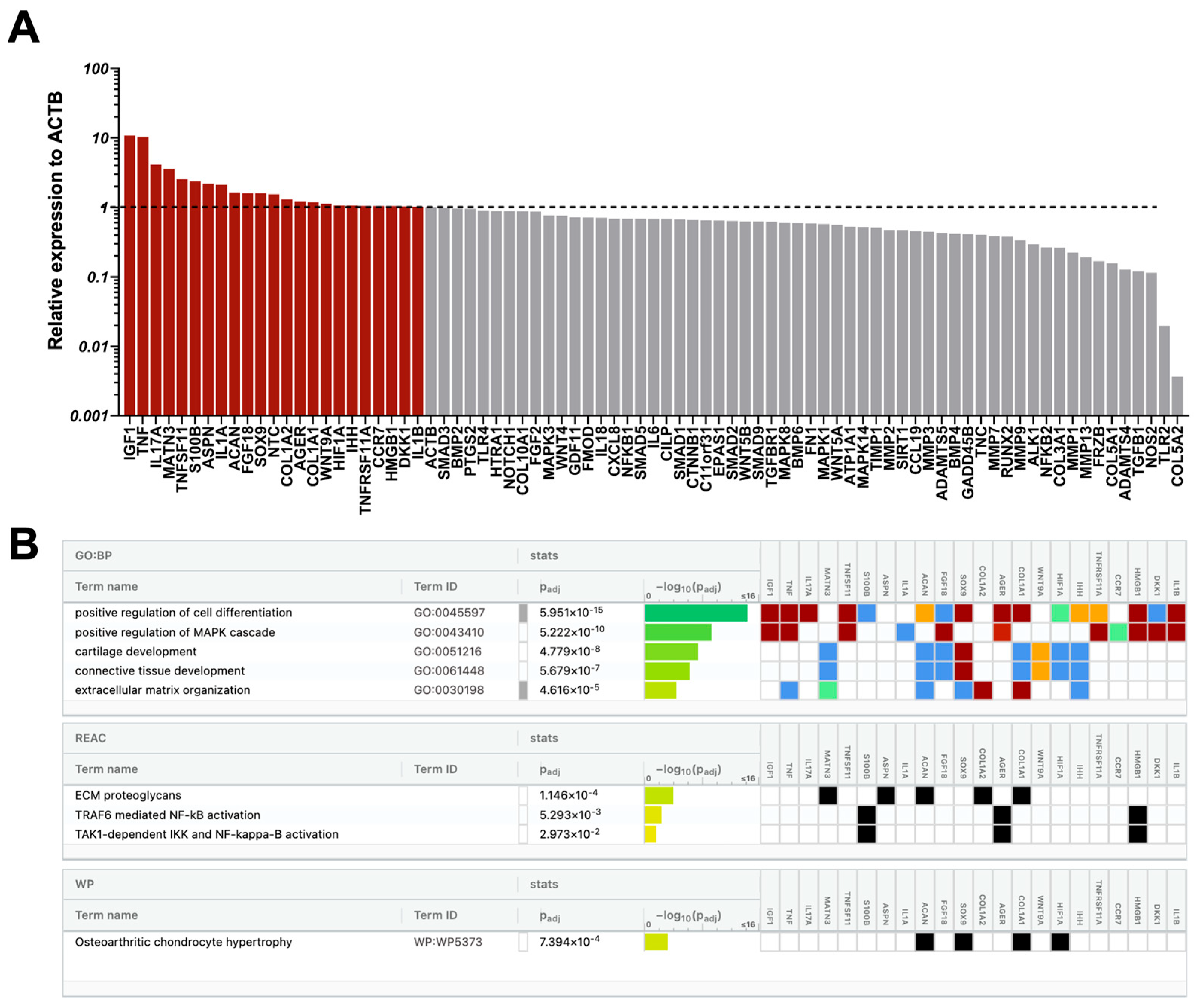 Ijms 26 10567 g007 Ijms 26 10567 g007