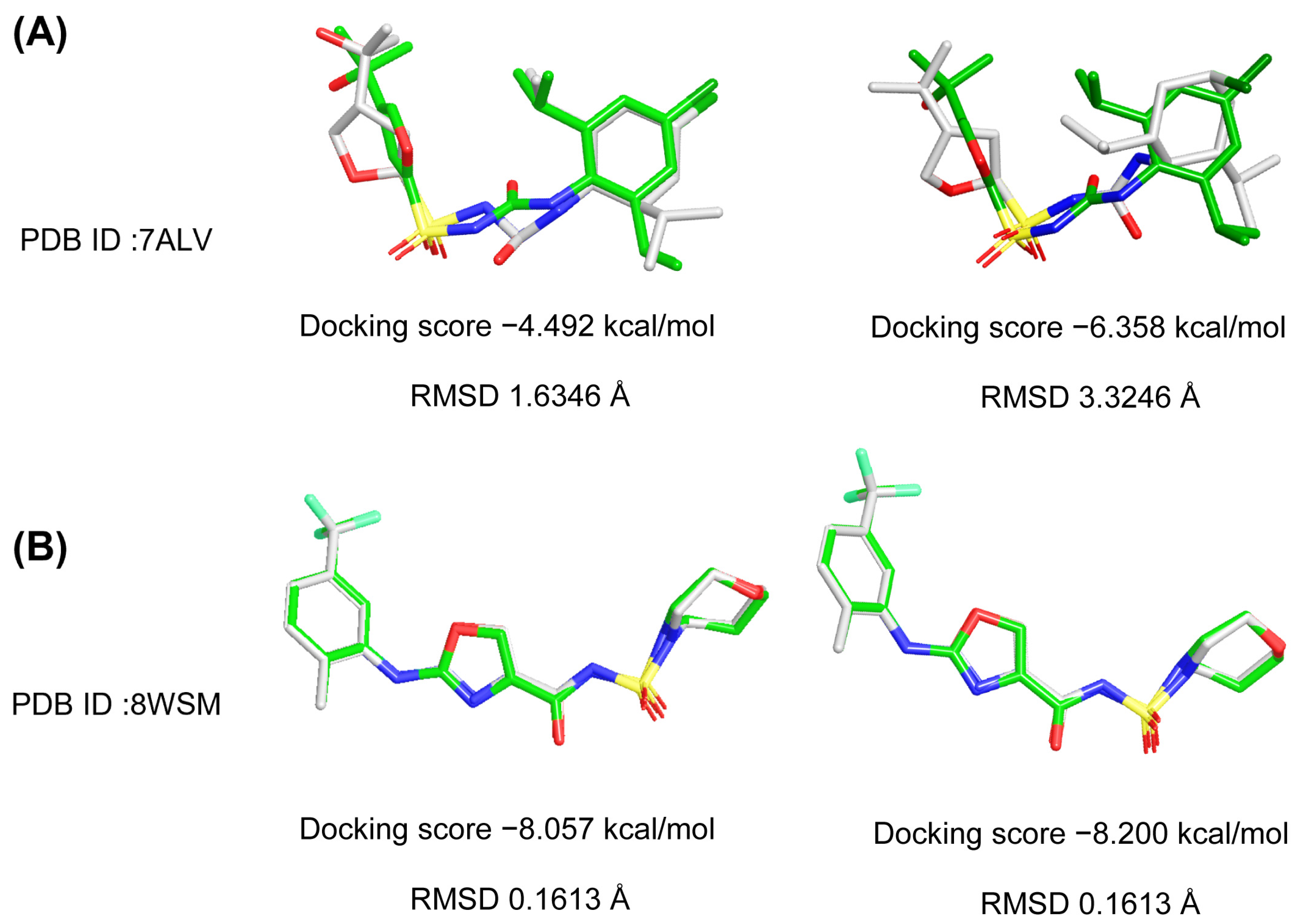 Ijms 26 10569 g002 Ijms 26 10569 g002