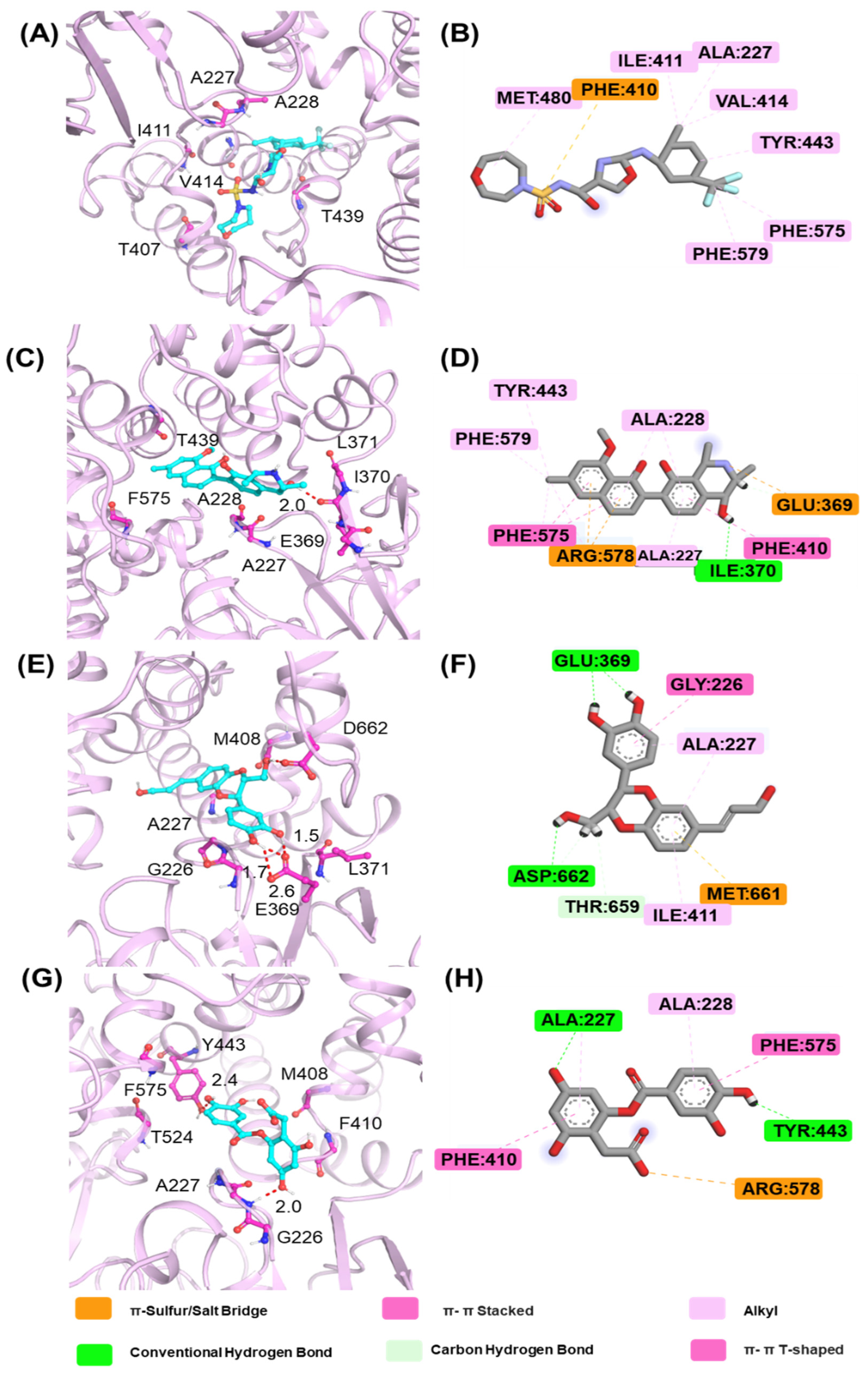 Ijms 26 10569 g007 Ijms 26 10569 g007