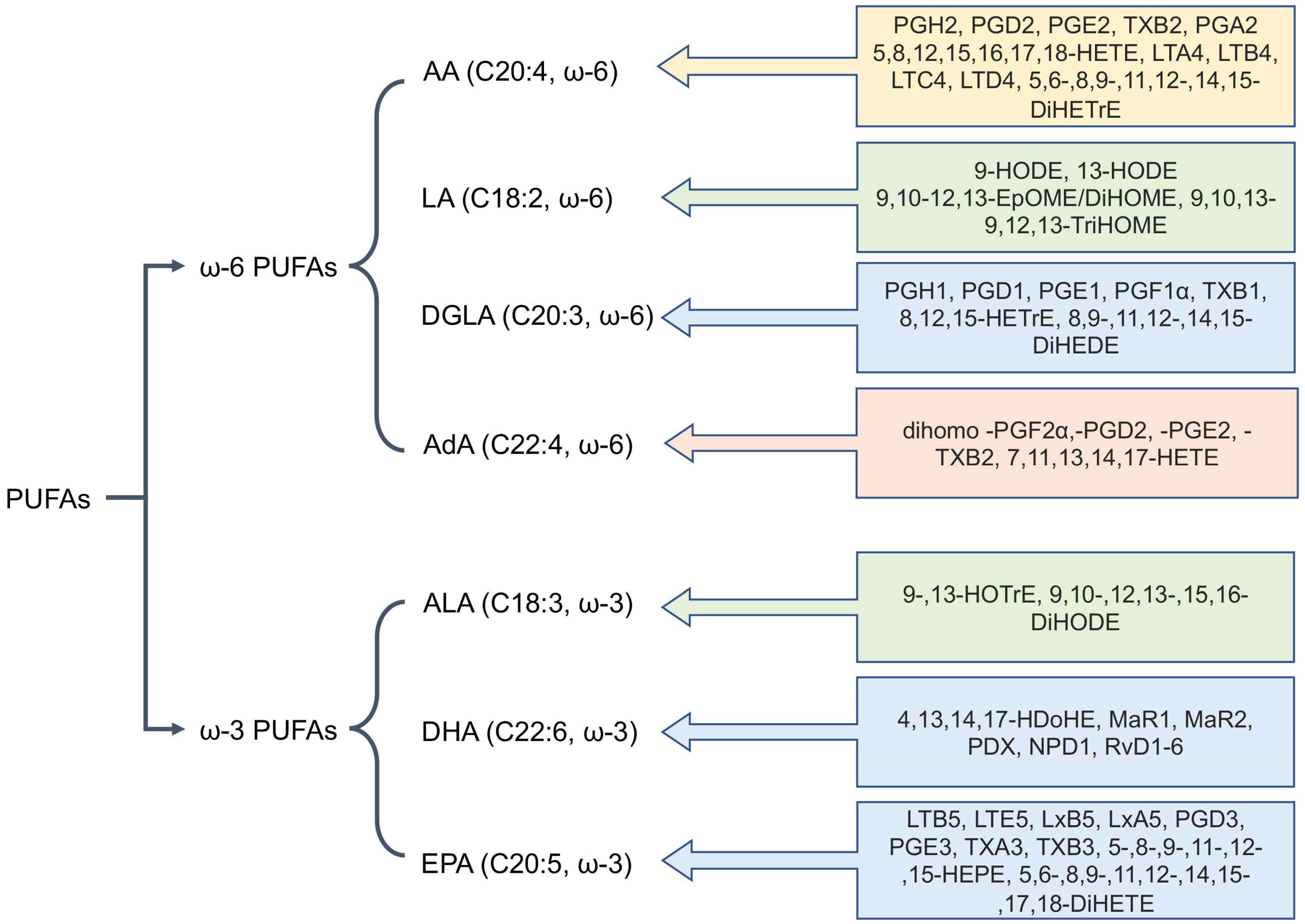 Ijms 26 10577 g001 Ijms 26 10577 g001