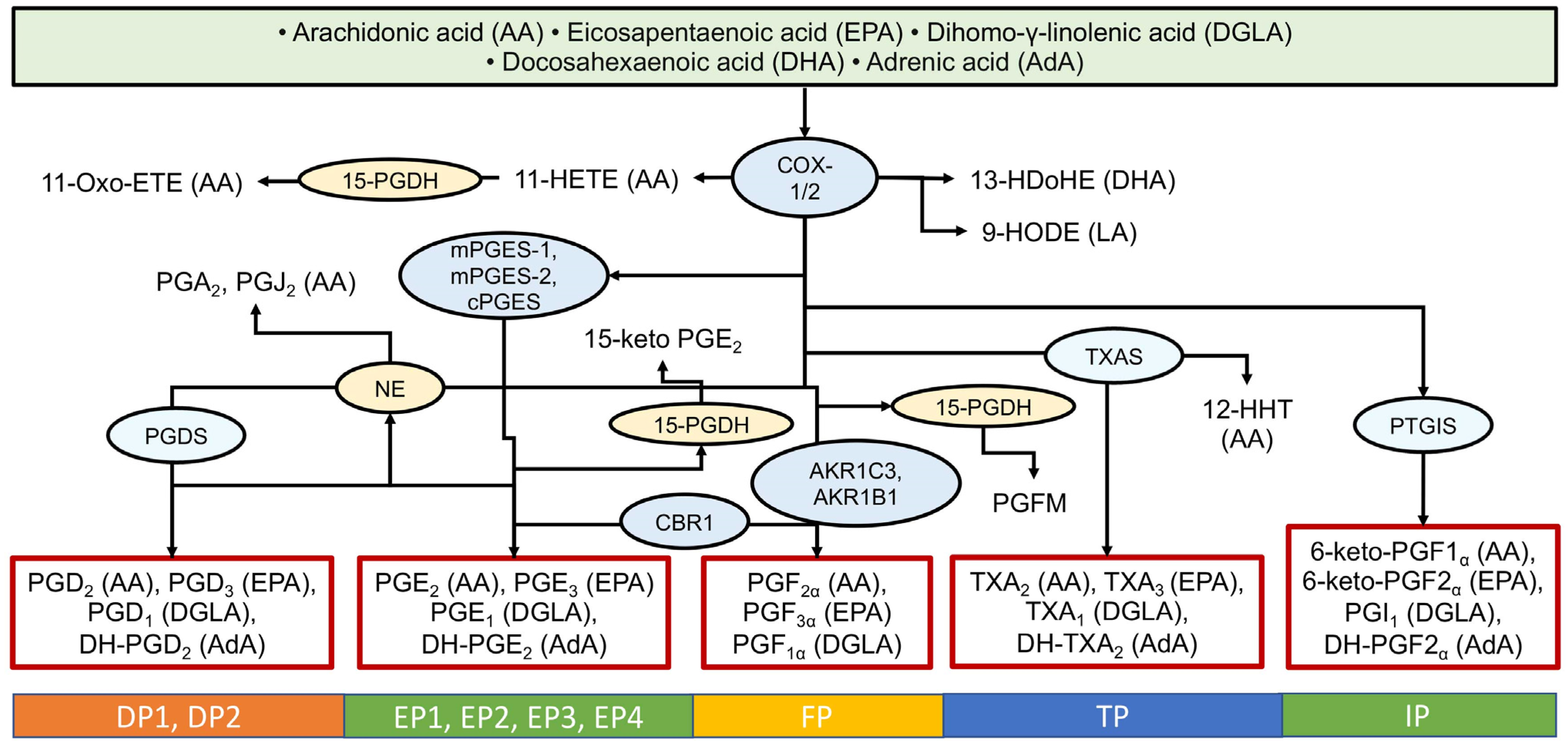 Ijms 26 10577 g002 Ijms 26 10577 g002