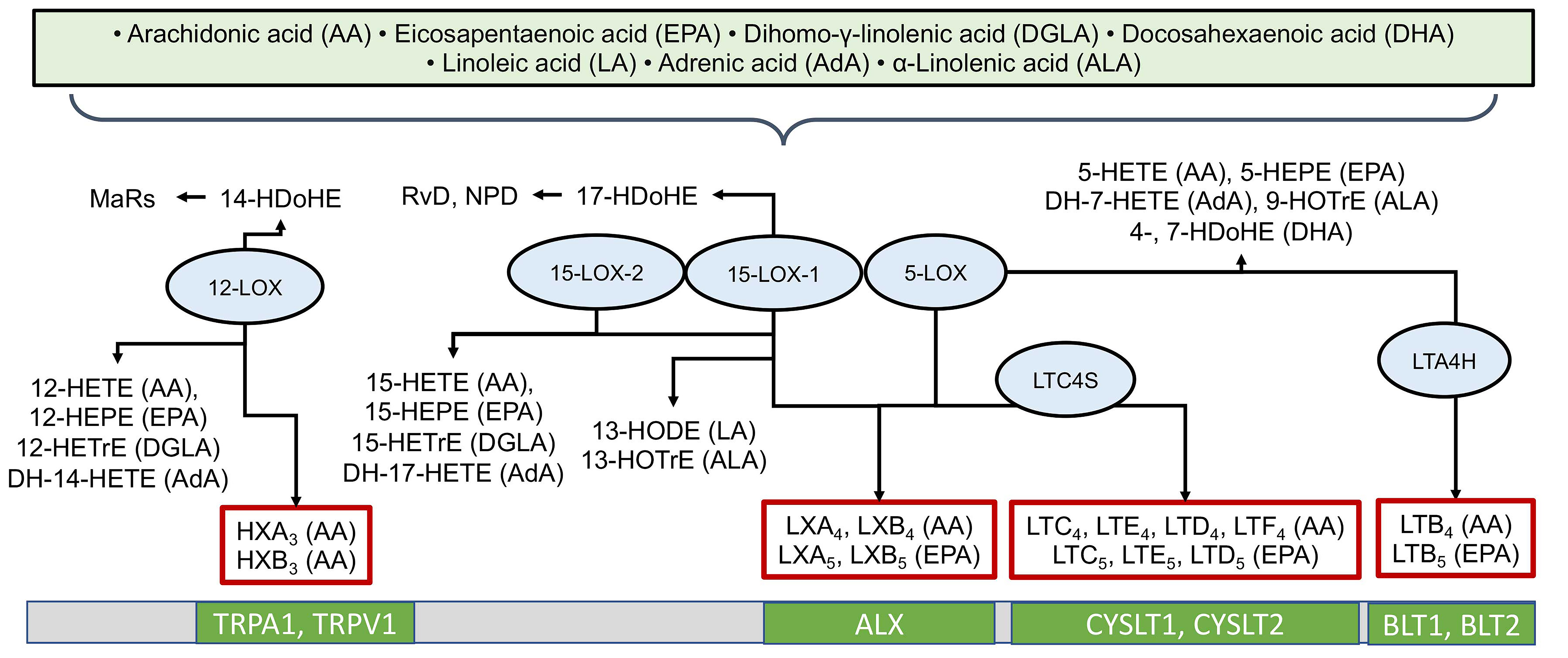 Ijms 26 10577 g003 Ijms 26 10577 g003