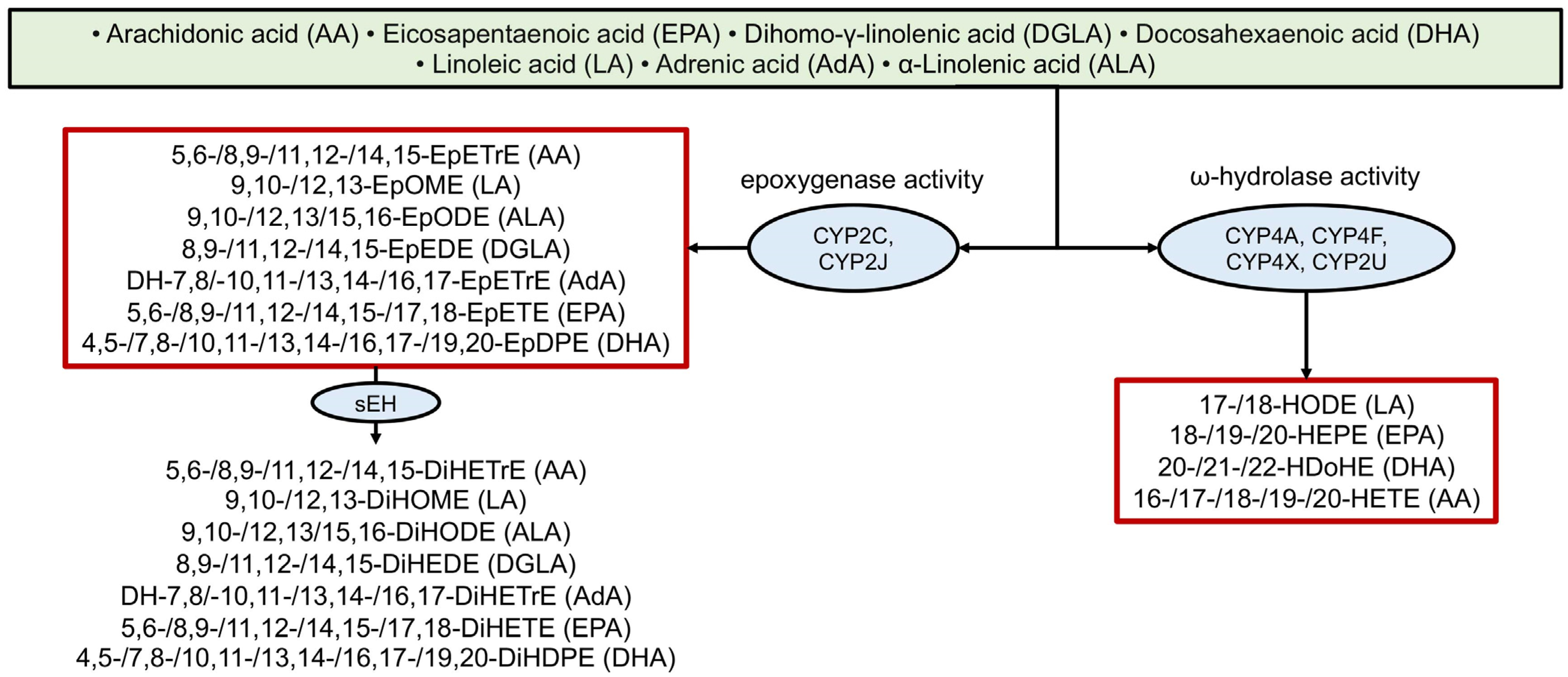 Ijms 26 10577 g004 Ijms 26 10577 g004
