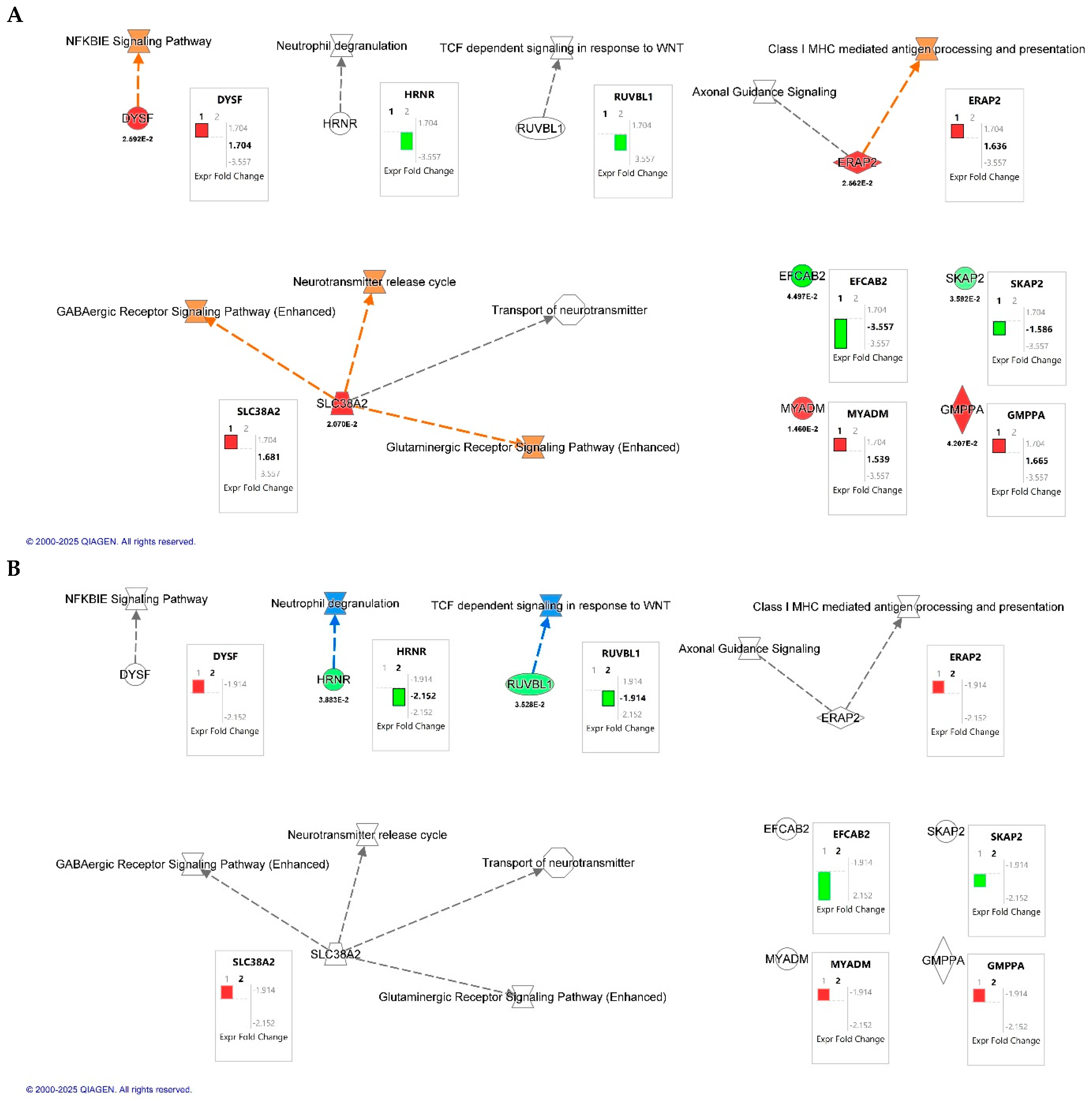 Ijms 26 10596 g003 Ijms 26 10596 g003