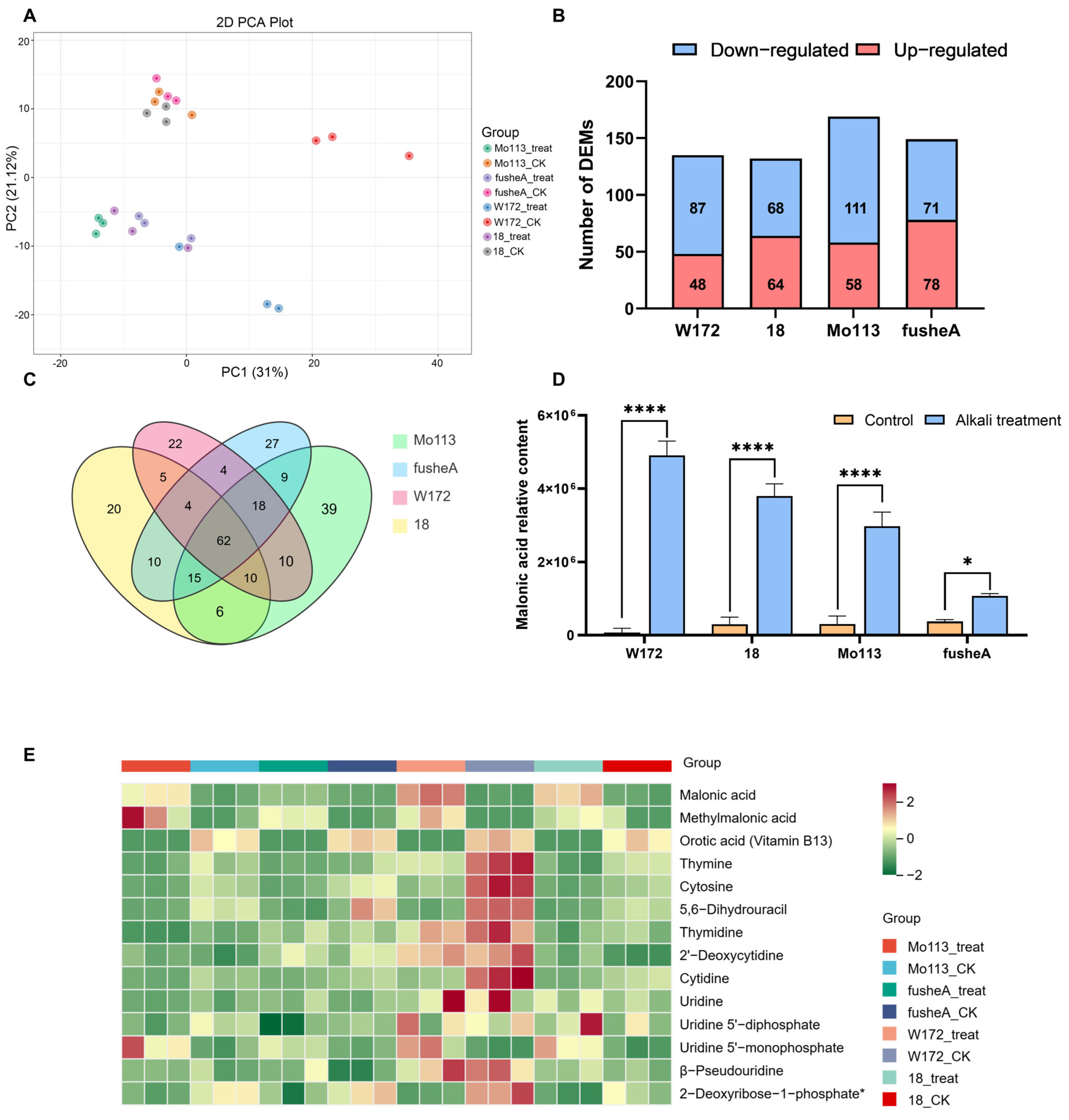 Ijms 26 10632 g003 Ijms 26 10632 g003