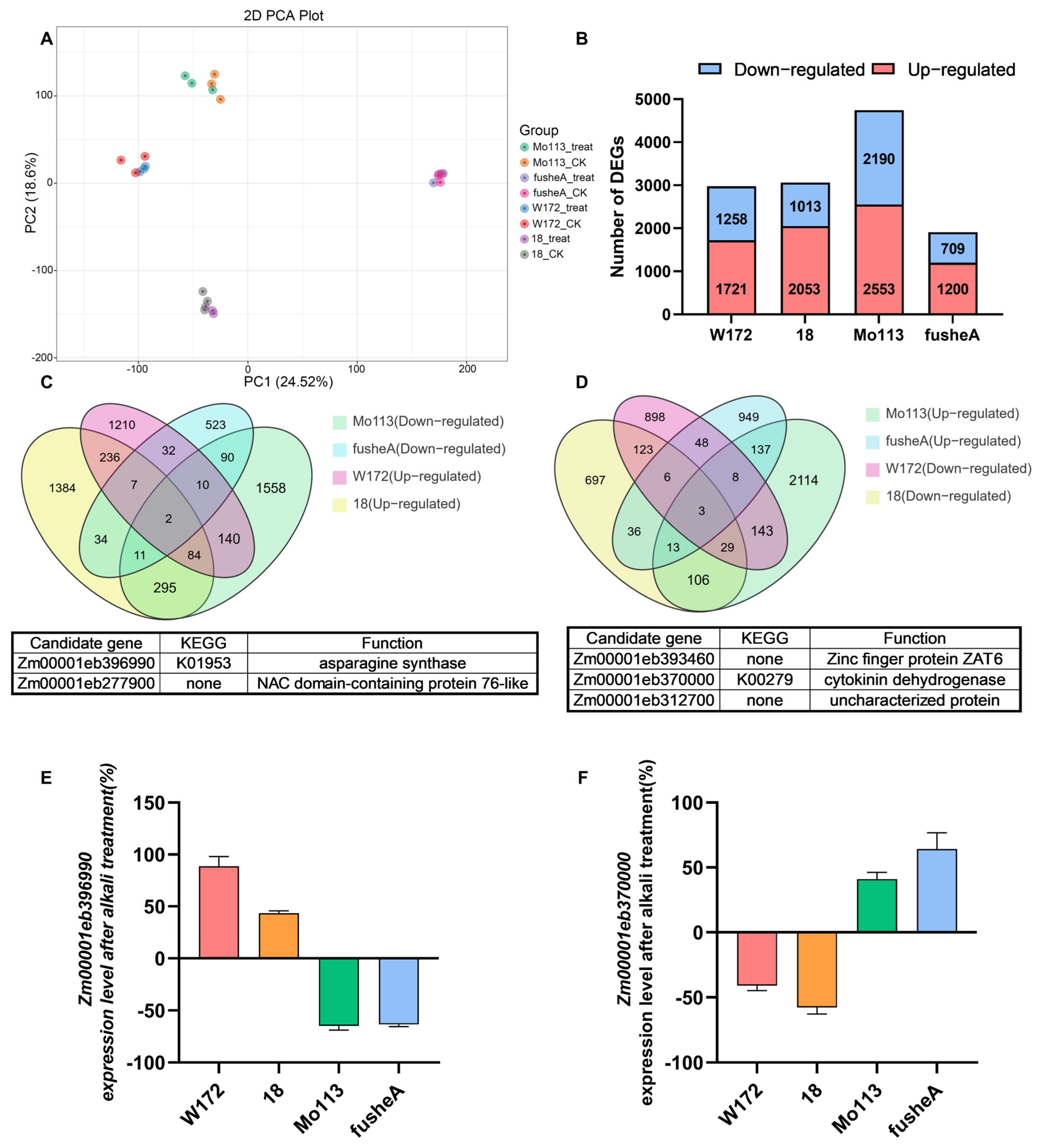 Ijms 26 10632 g004 Ijms 26 10632 g004
