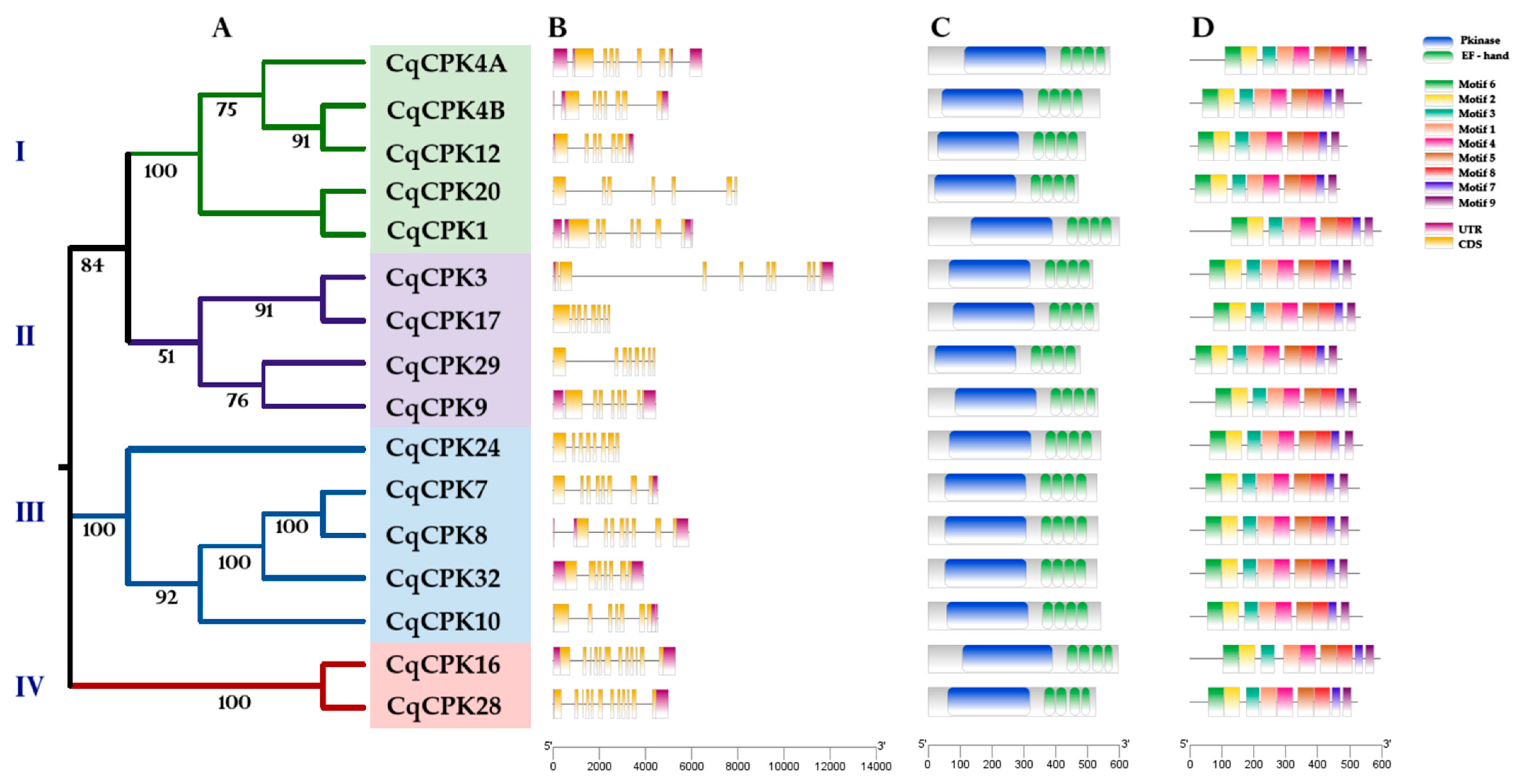 Ijms 26 10658 g001 Ijms 26 10658 g001