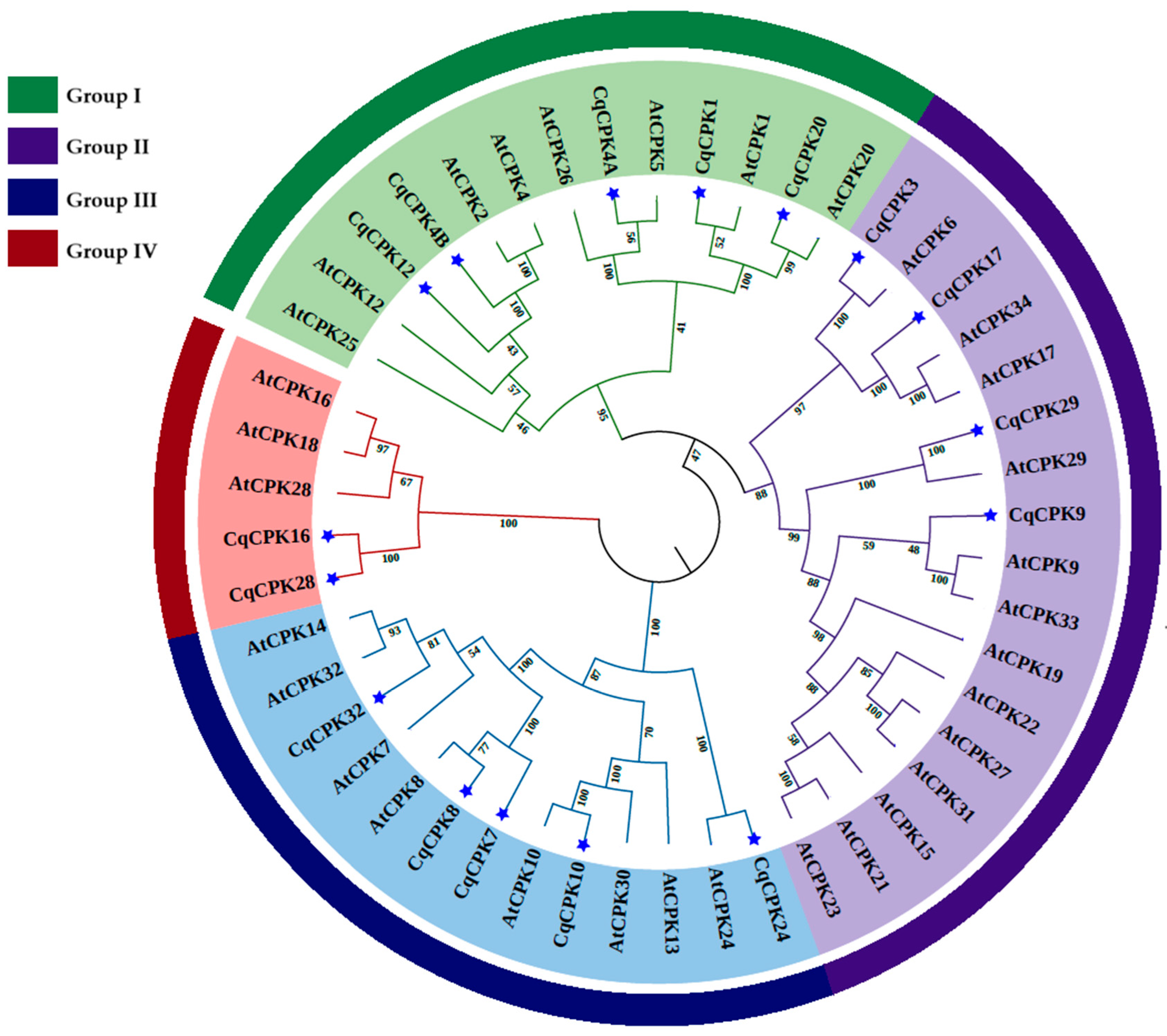 Ijms 26 10658 g003 Ijms 26 10658 g003