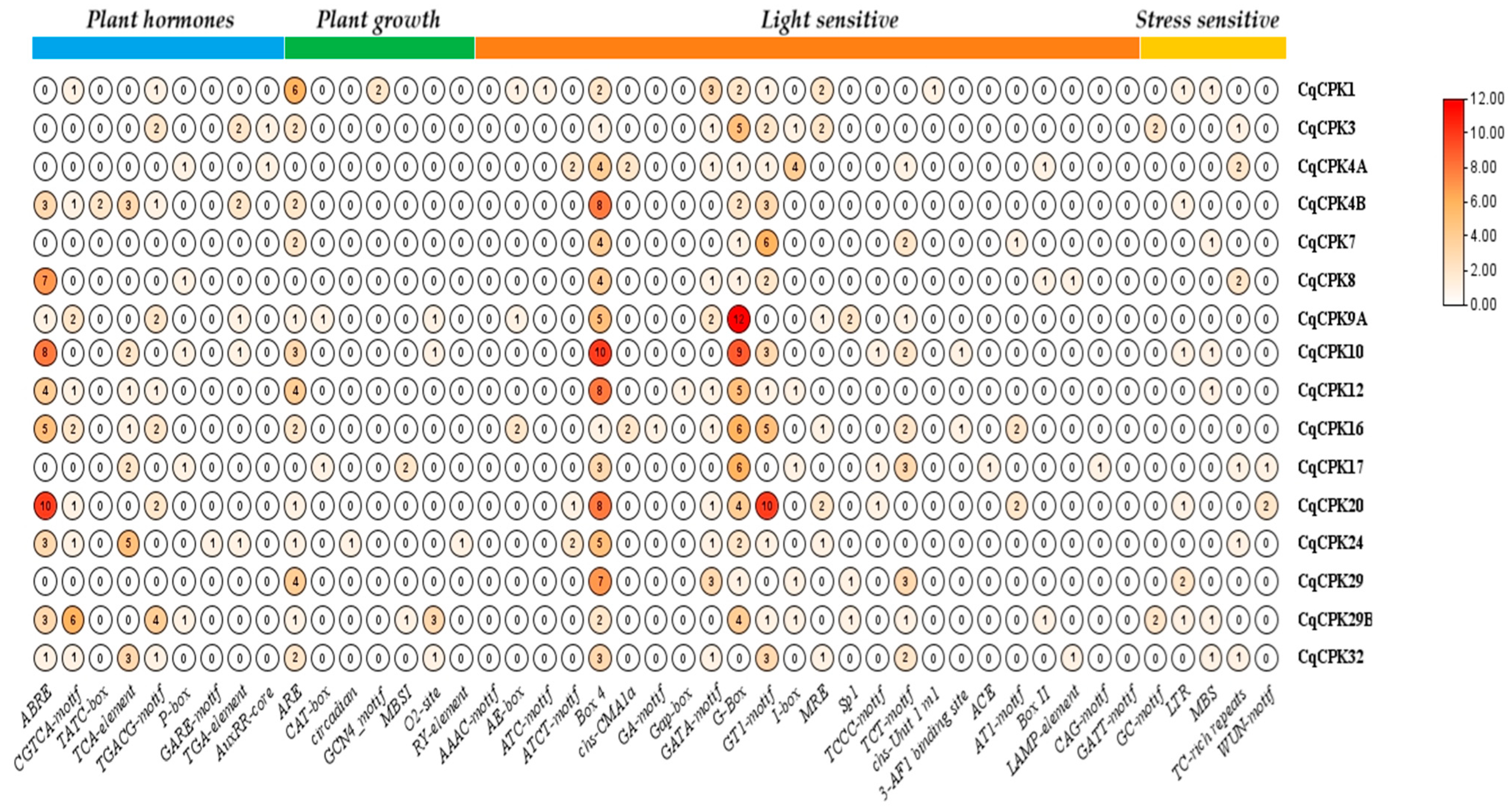 Ijms 26 10658 g004 Ijms 26 10658 g004