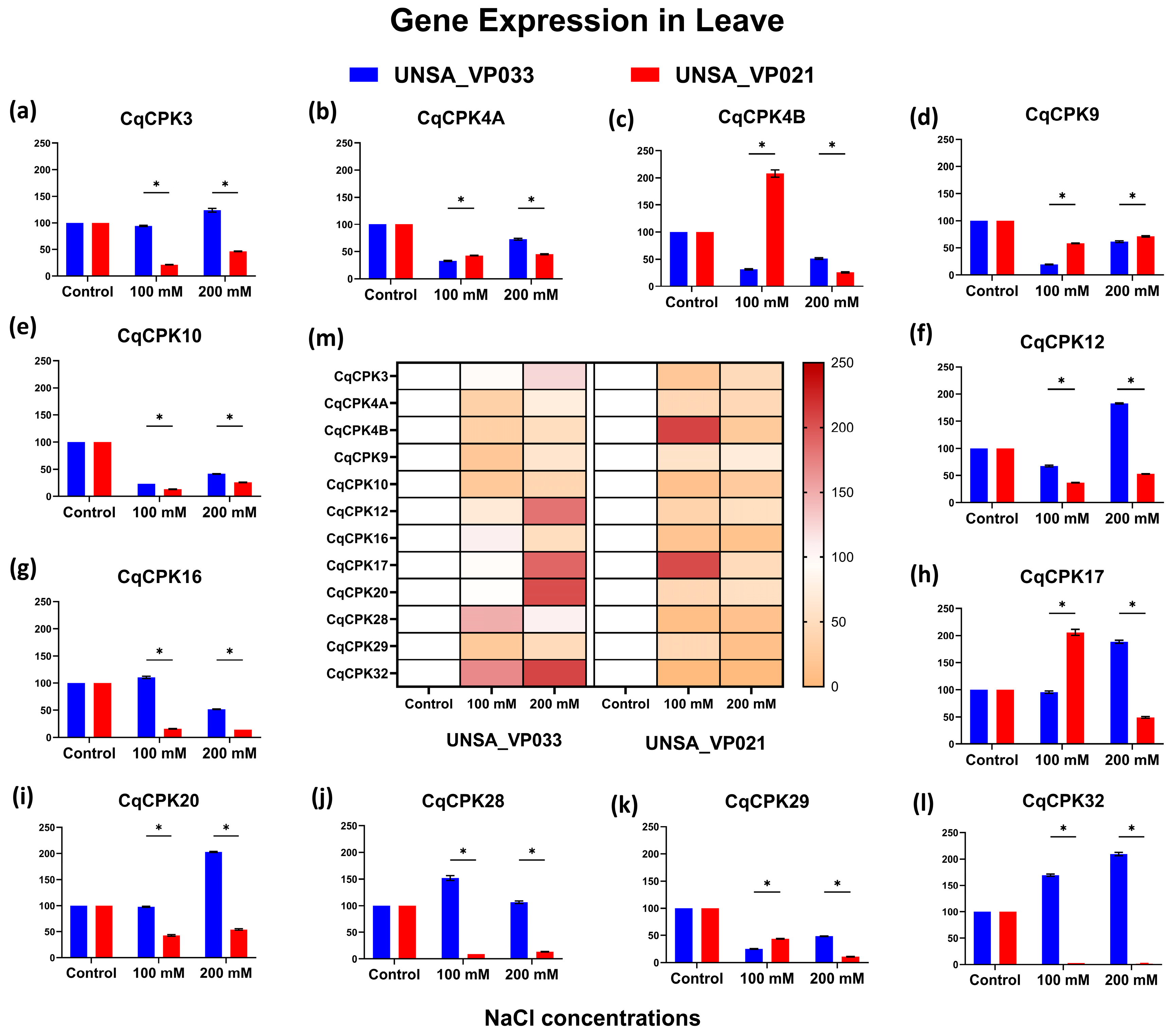 Ijms 26 10658 g006 Ijms 26 10658 g006
