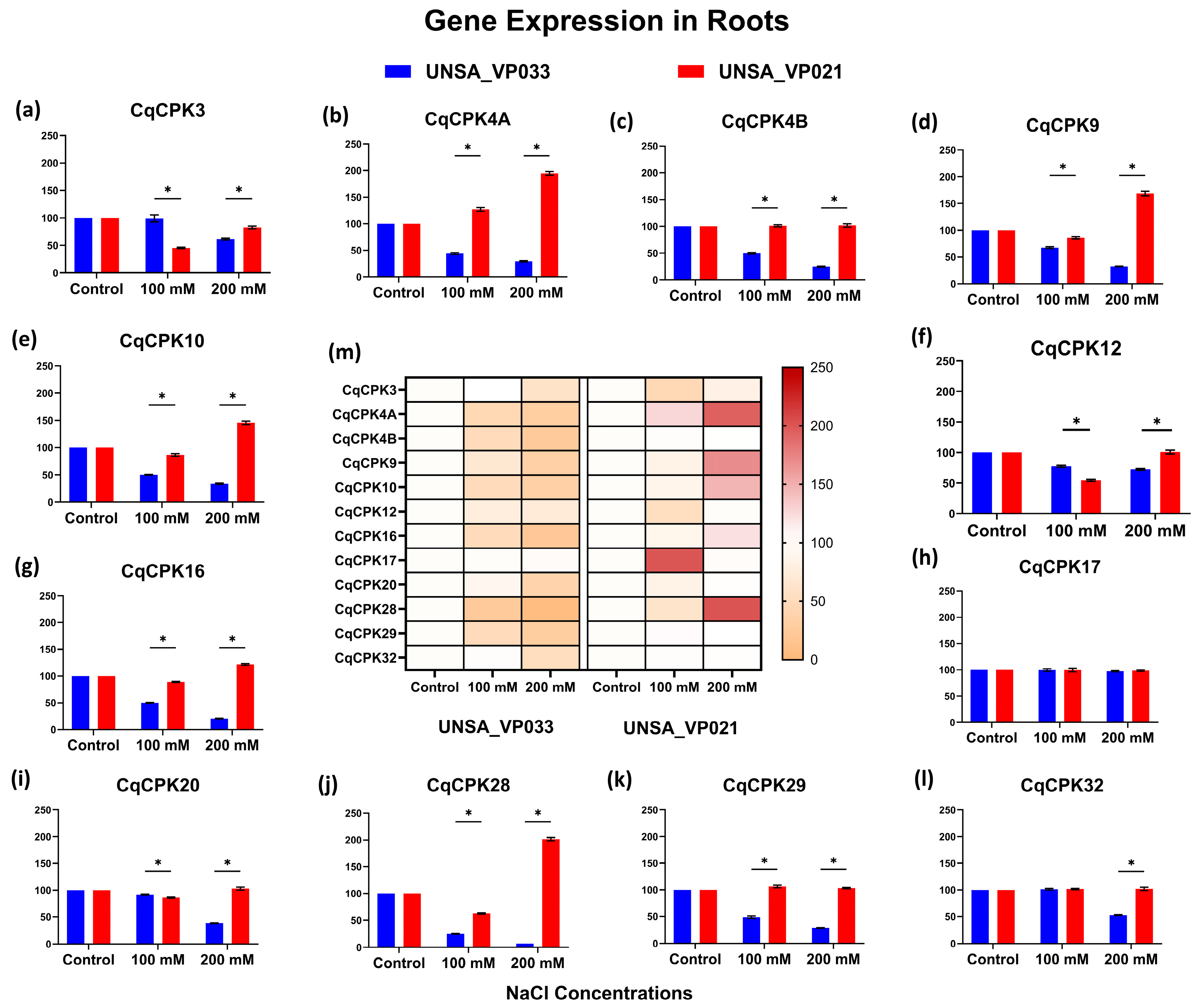 Ijms 26 10658 g007 Ijms 26 10658 g007
