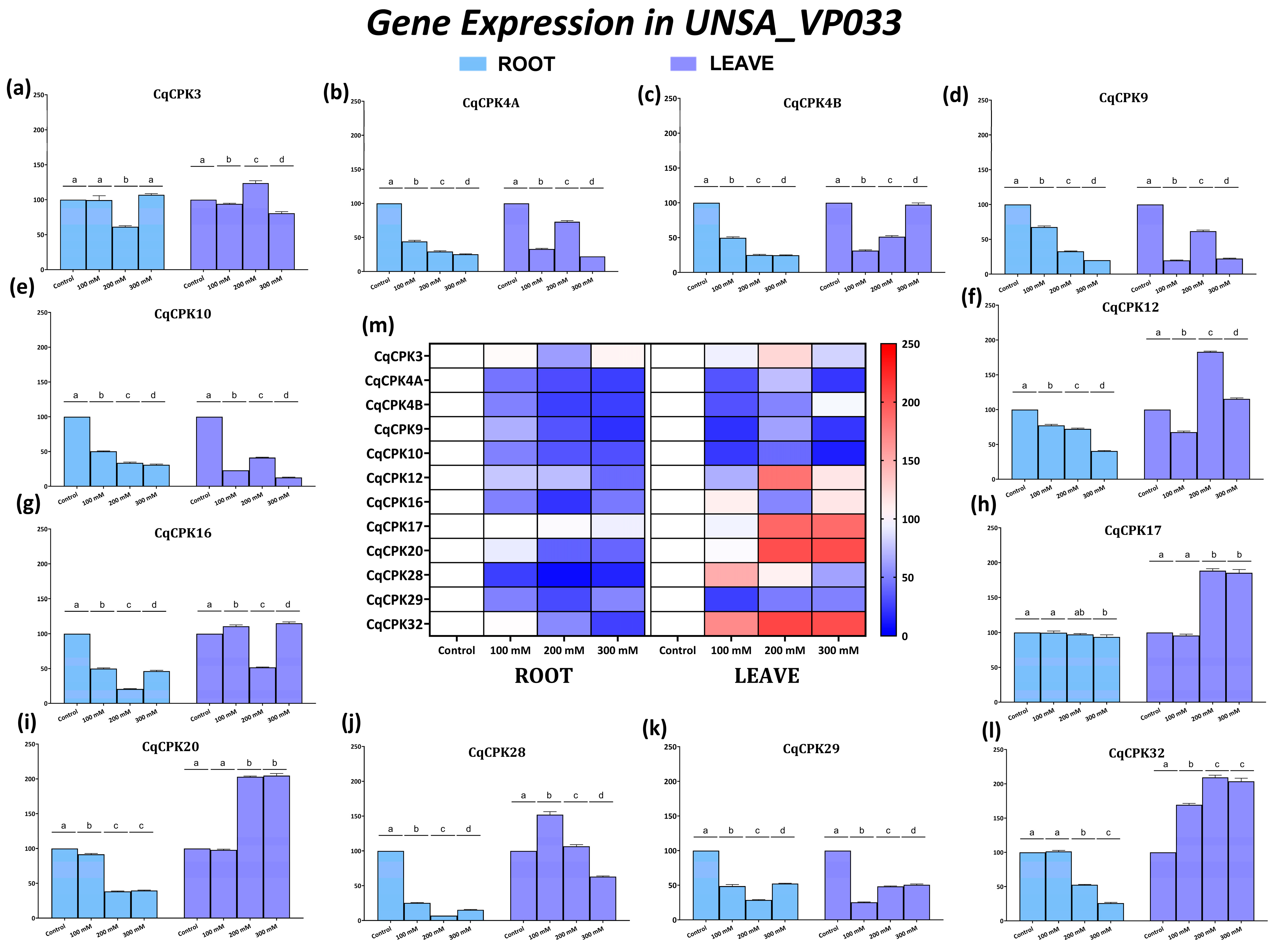 Ijms 26 10658 g0a1 Ijms 26 10658 g0a1