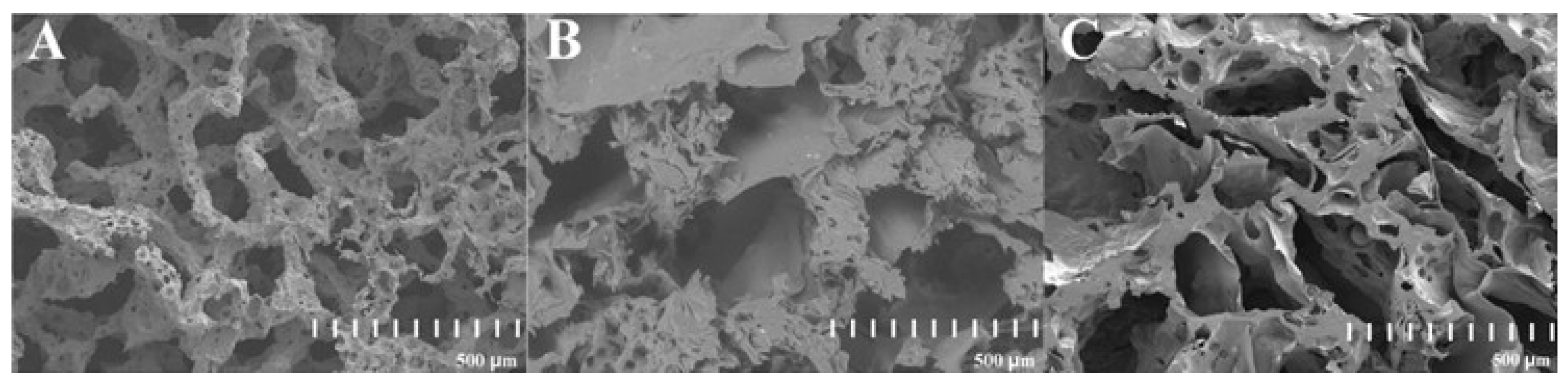 Ijms 26 10668 g002 Ijms 26 10668 g002