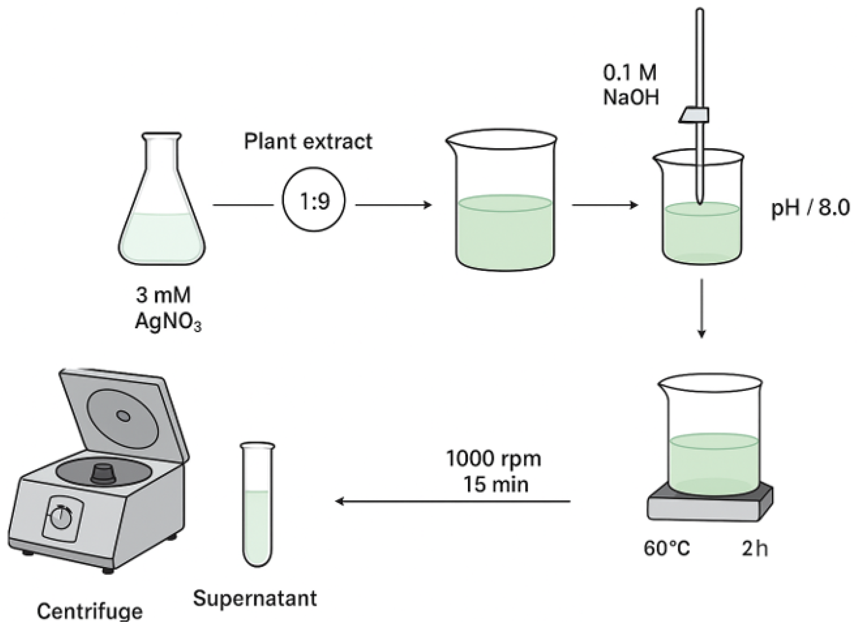Ijms 26 10693 g011 Ijms 26 10693 g011