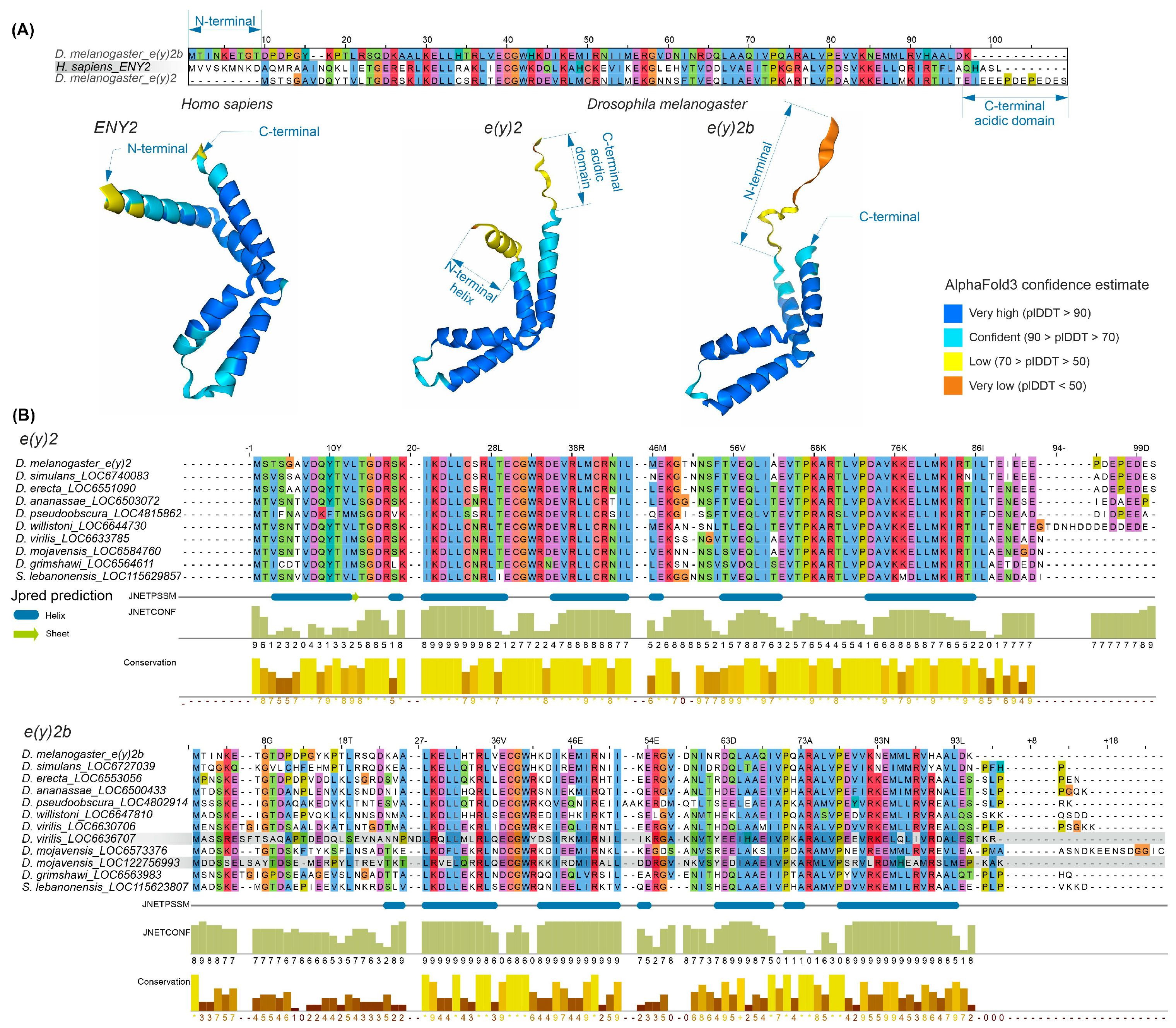 Ijms 26 10705 g002 Ijms 26 10705 g002