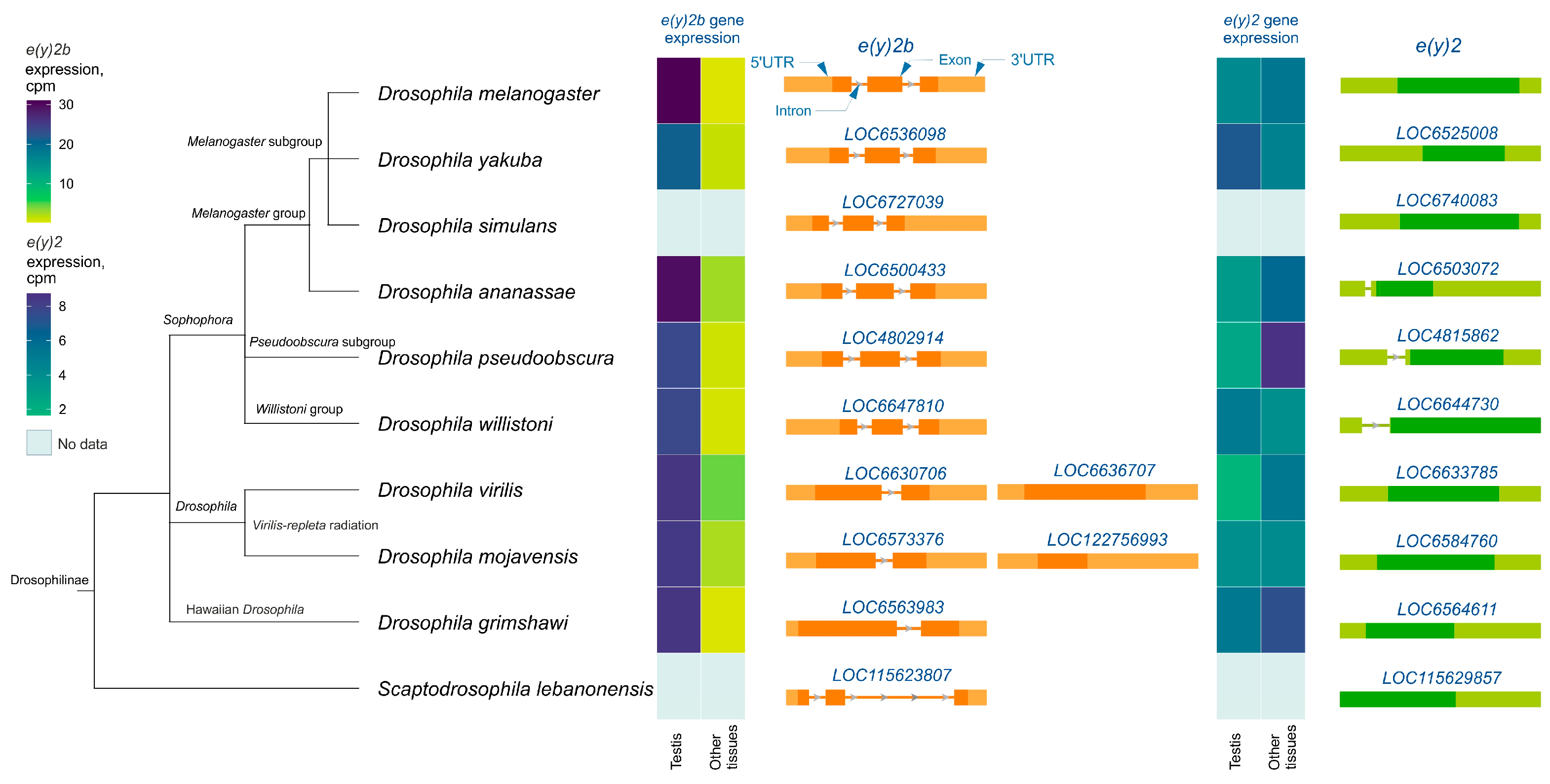 Ijms 26 10705 g003 Ijms 26 10705 g003