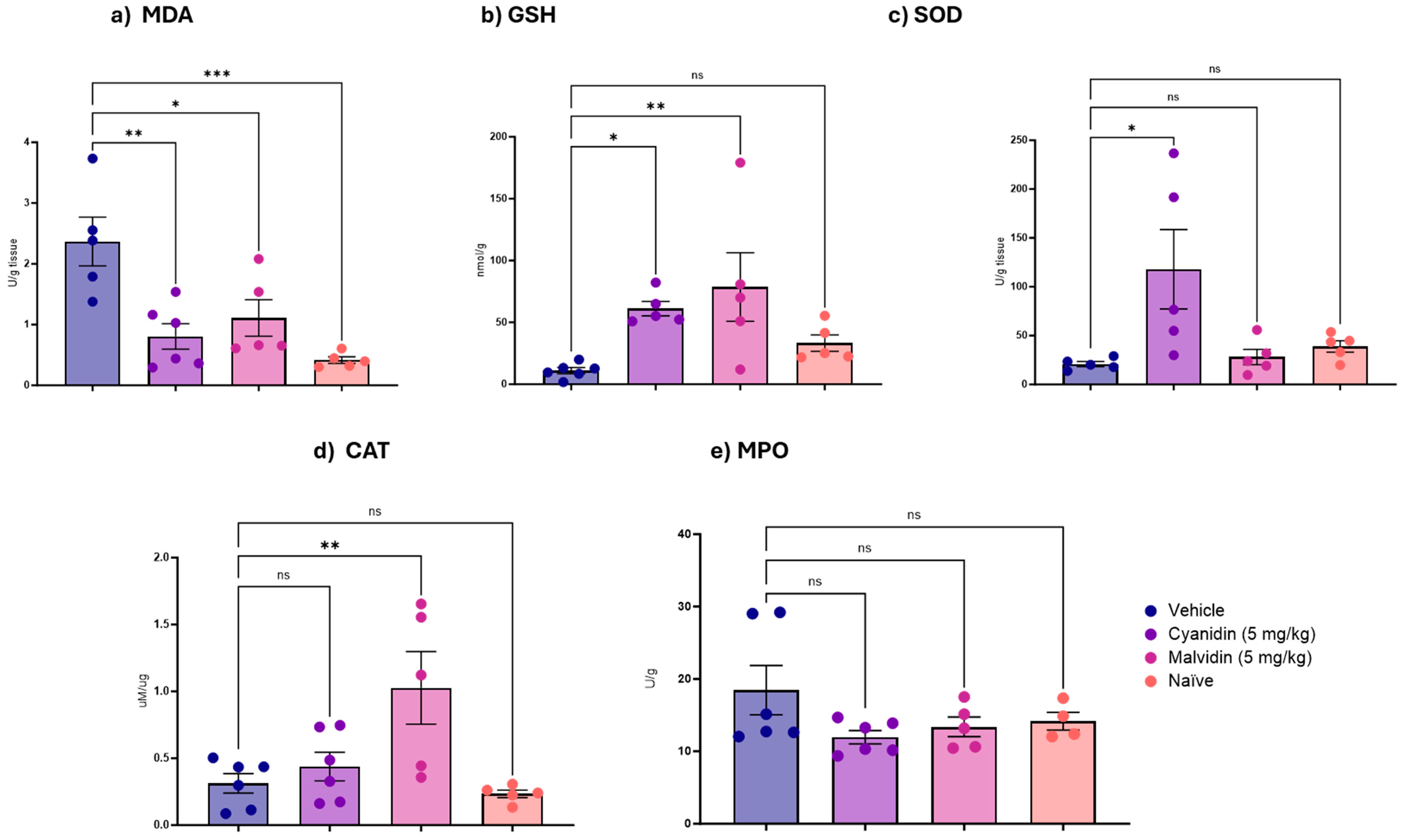 Ijms 26 10747 g002 Ijms 26 10747 g002