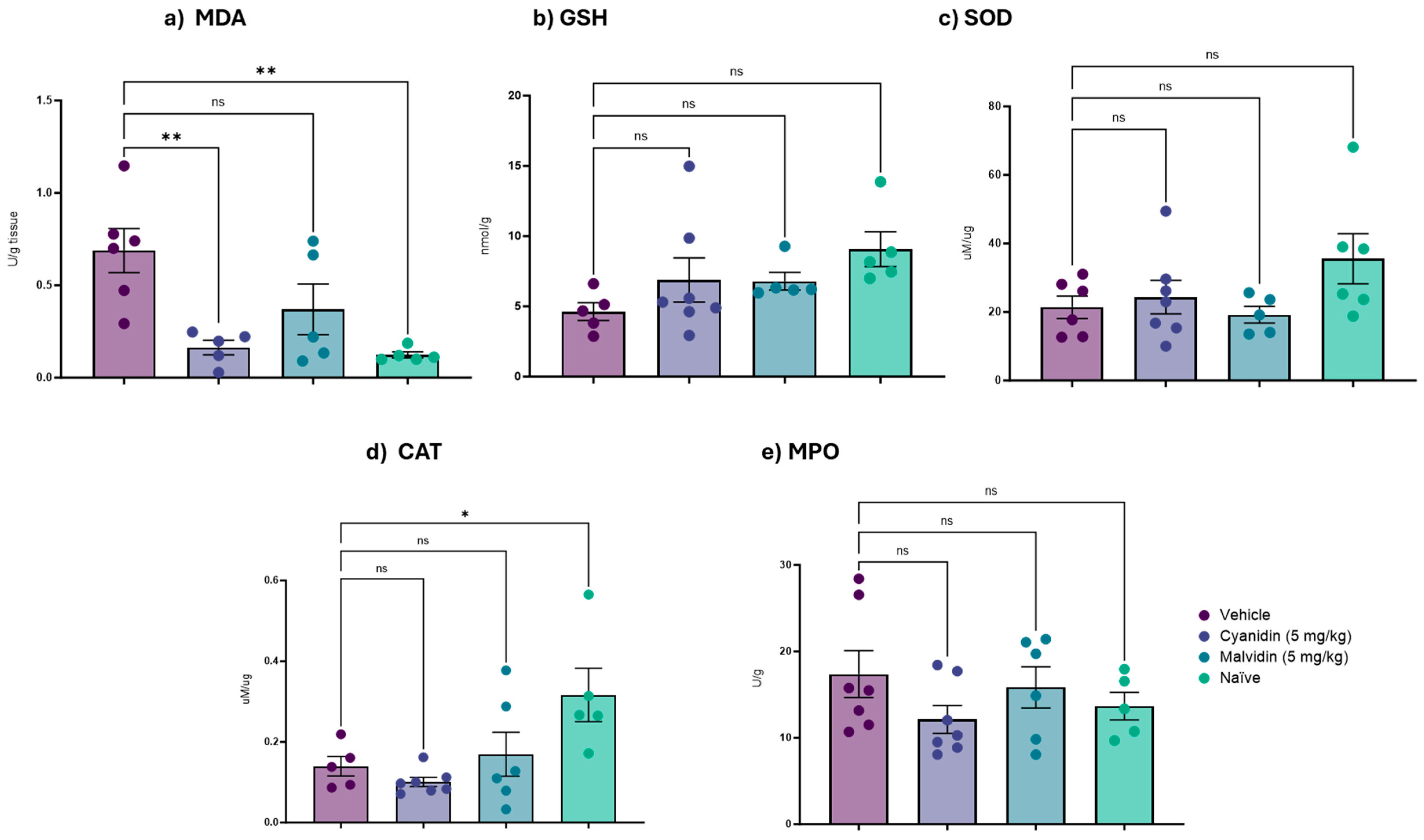 Ijms 26 10747 g003 Ijms 26 10747 g003