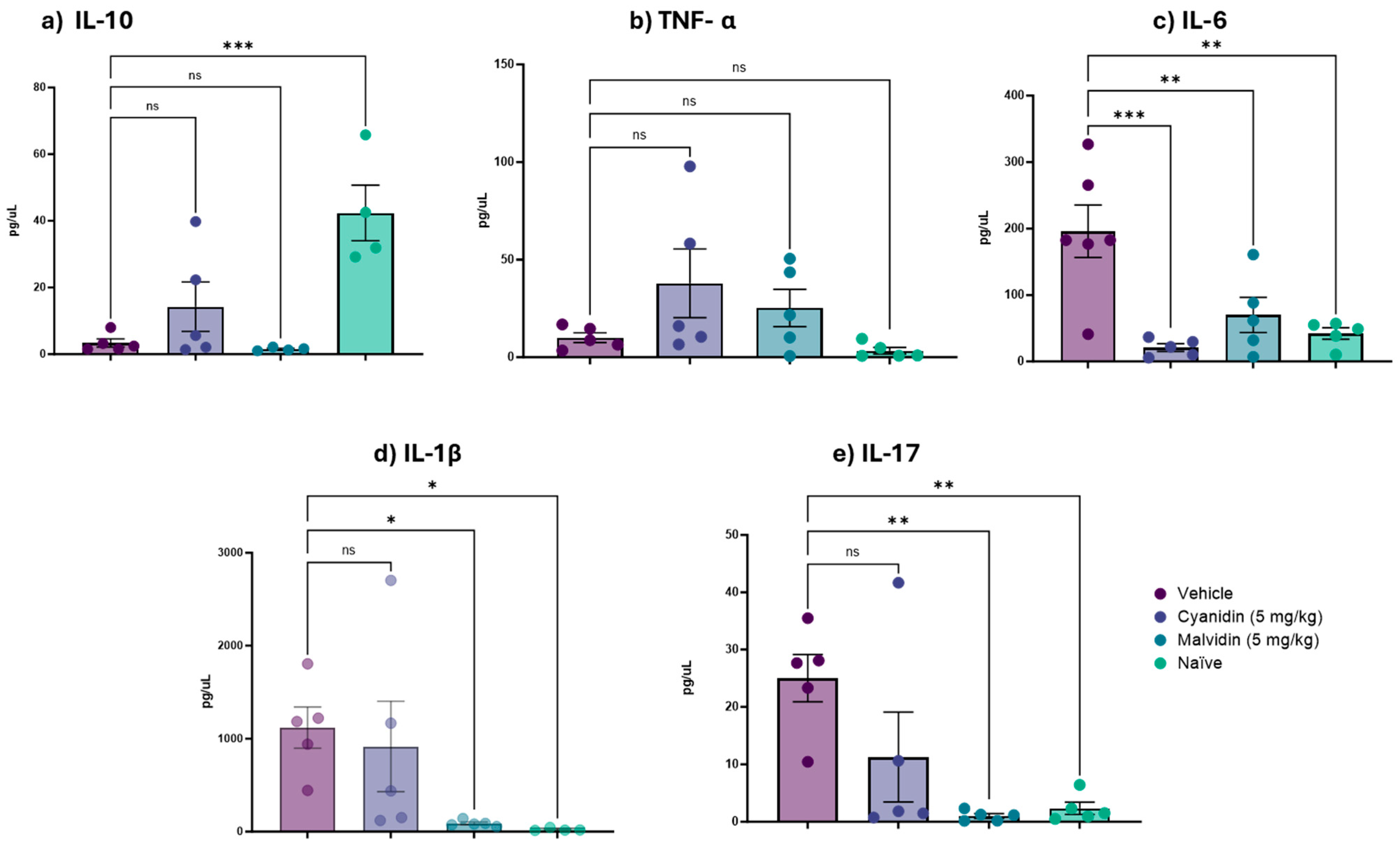 Ijms 26 10747 g005 Ijms 26 10747 g005