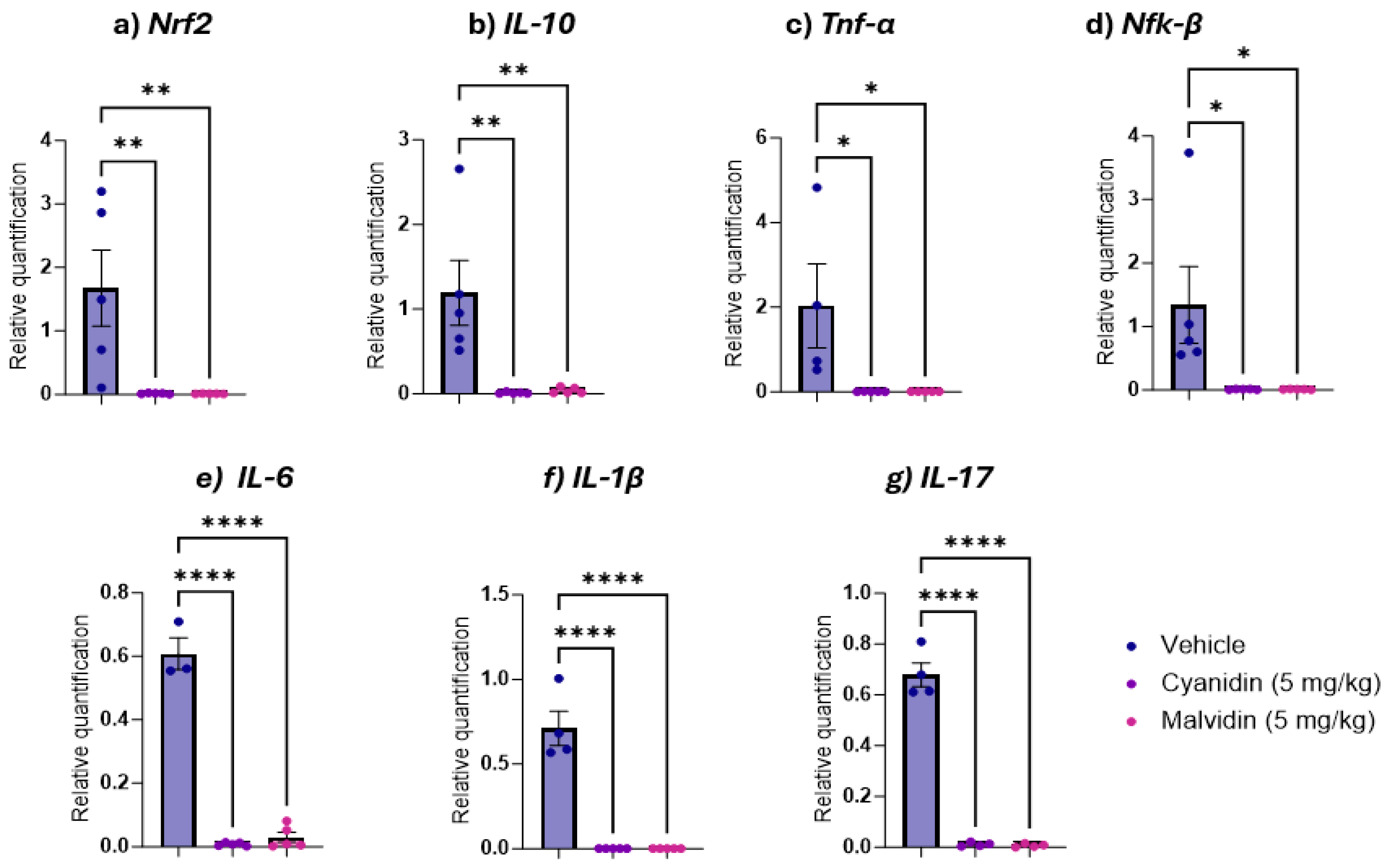 Ijms 26 10747 g006 Ijms 26 10747 g006
