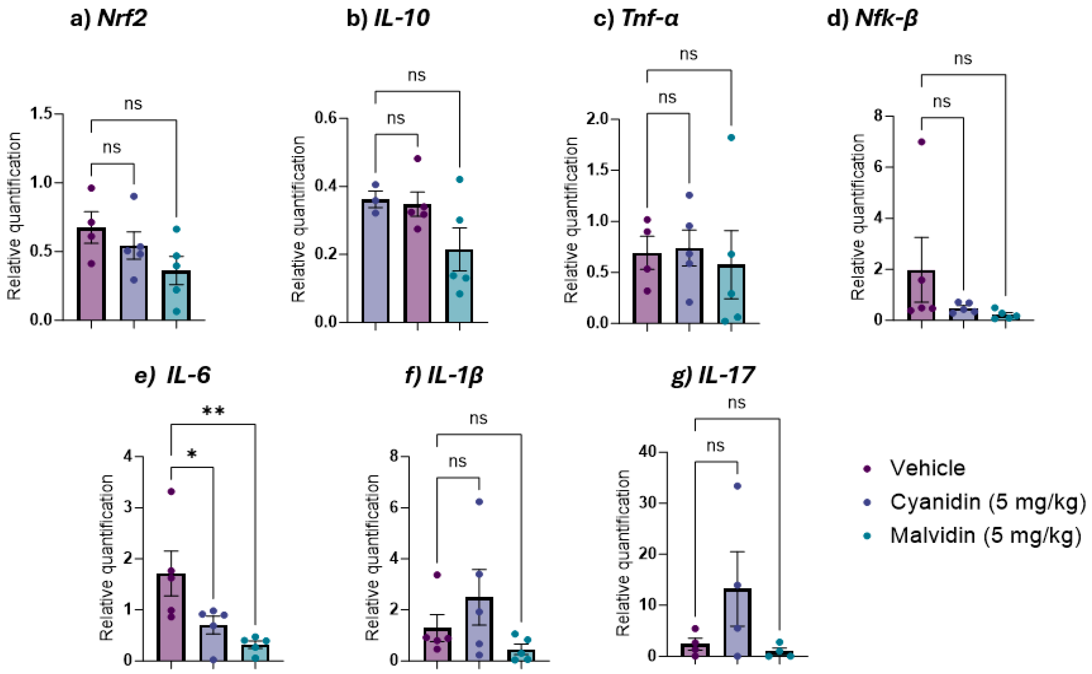 Ijms 26 10747 g007 Ijms 26 10747 g007