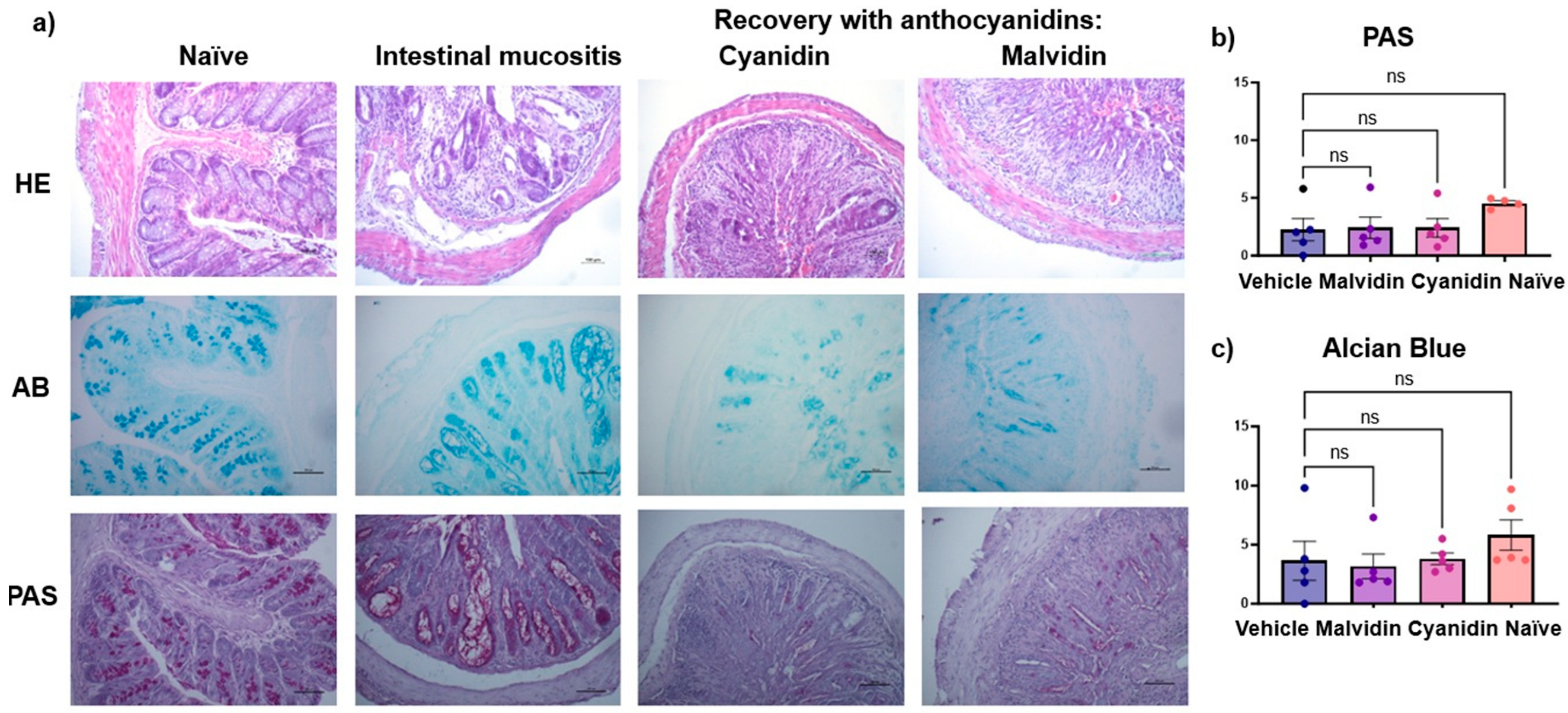 Ijms 26 10747 g008 Ijms 26 10747 g008