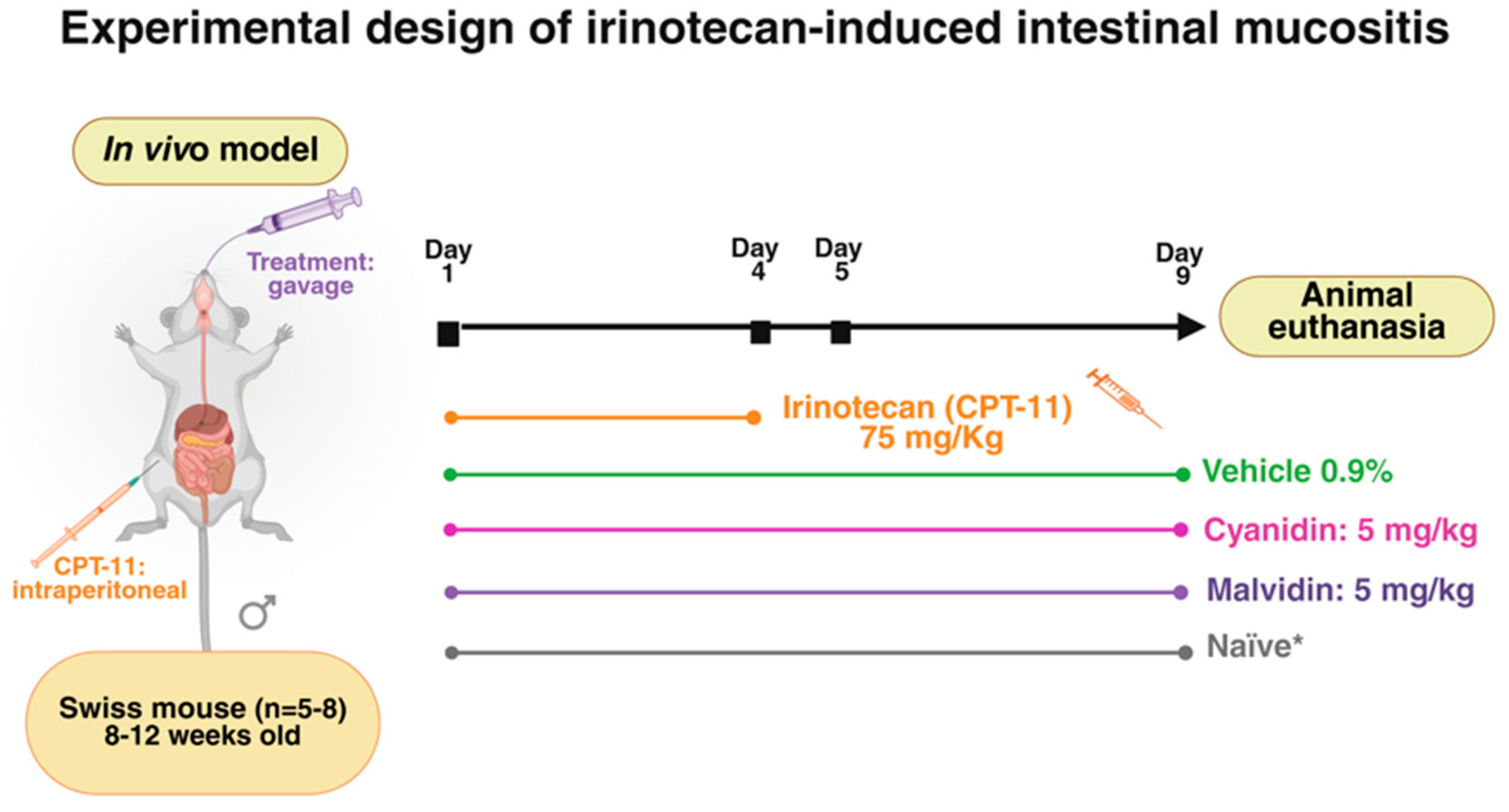 Ijms 26 10747 g009 Ijms 26 10747 g009