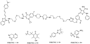 Ijms 26 10767 i016 Ijms 26 10767 i016