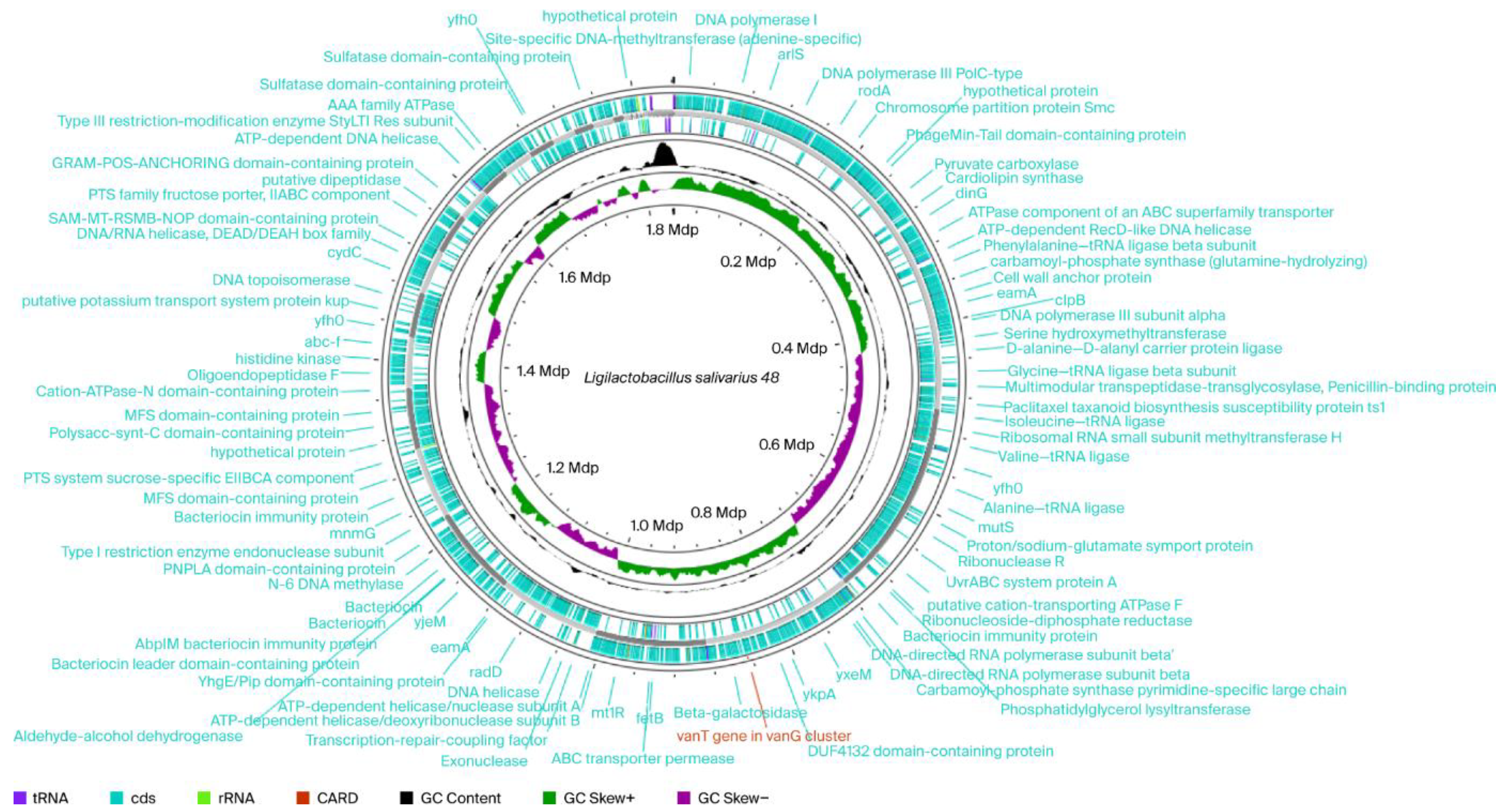 Ijms 26 10809 g001 Ijms 26 10809 g001