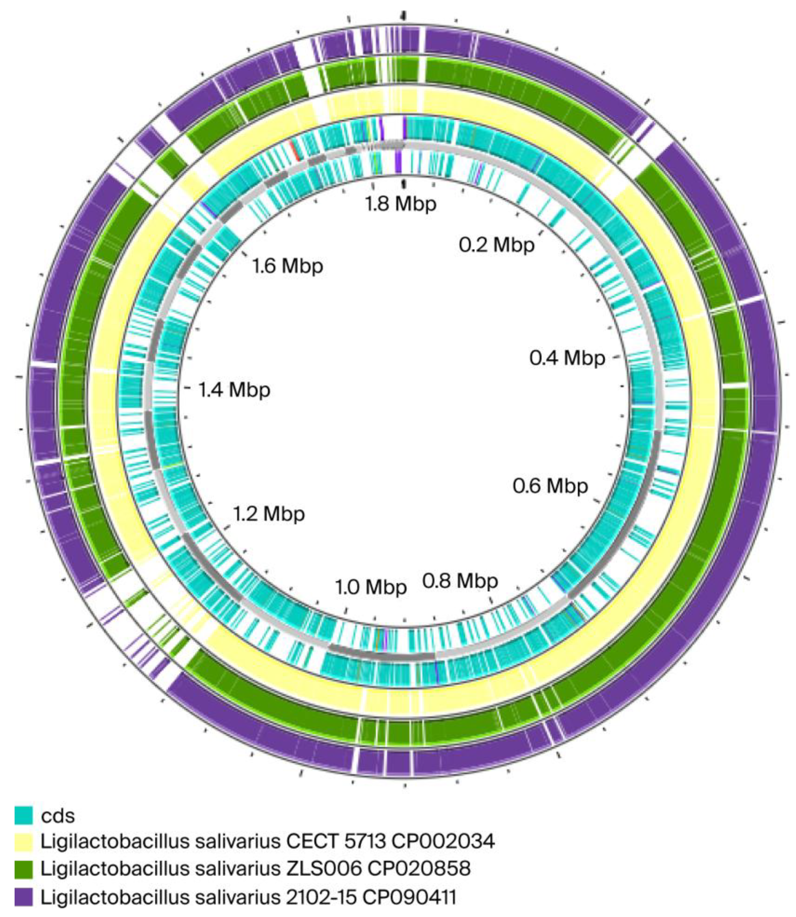 Ijms 26 10809 g002 Ijms 26 10809 g002