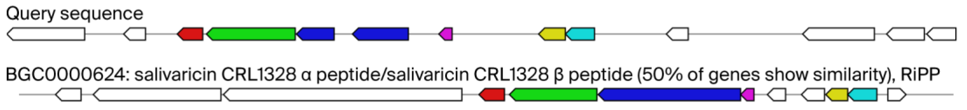 Ijms 26 10809 g003 Ijms 26 10809 g003