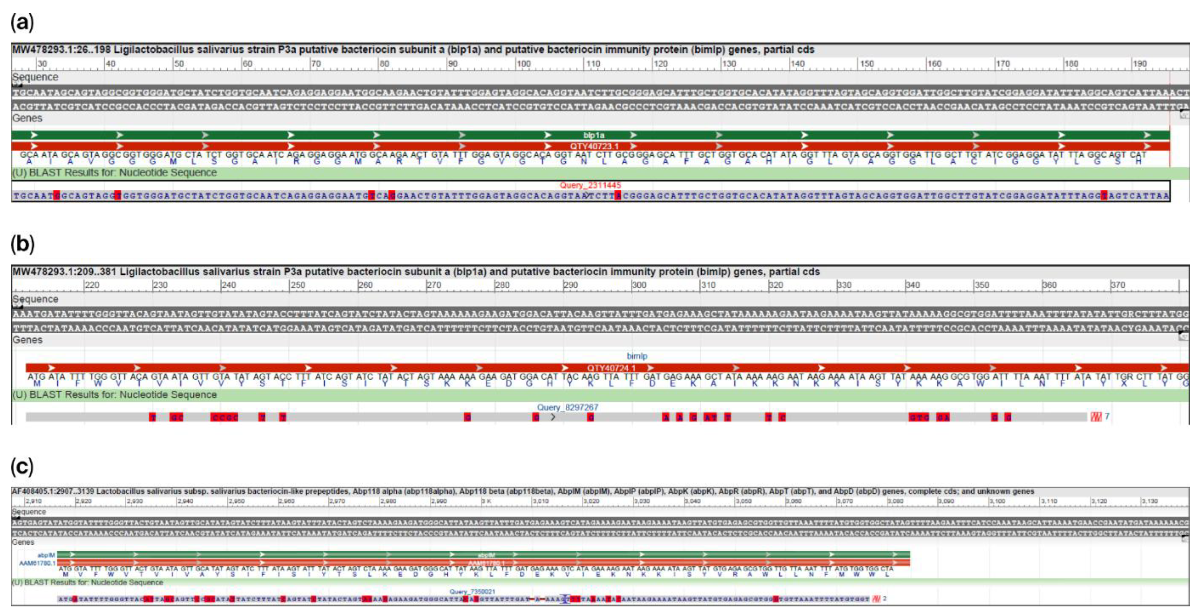 Ijms 26 10809 g005 Ijms 26 10809 g005