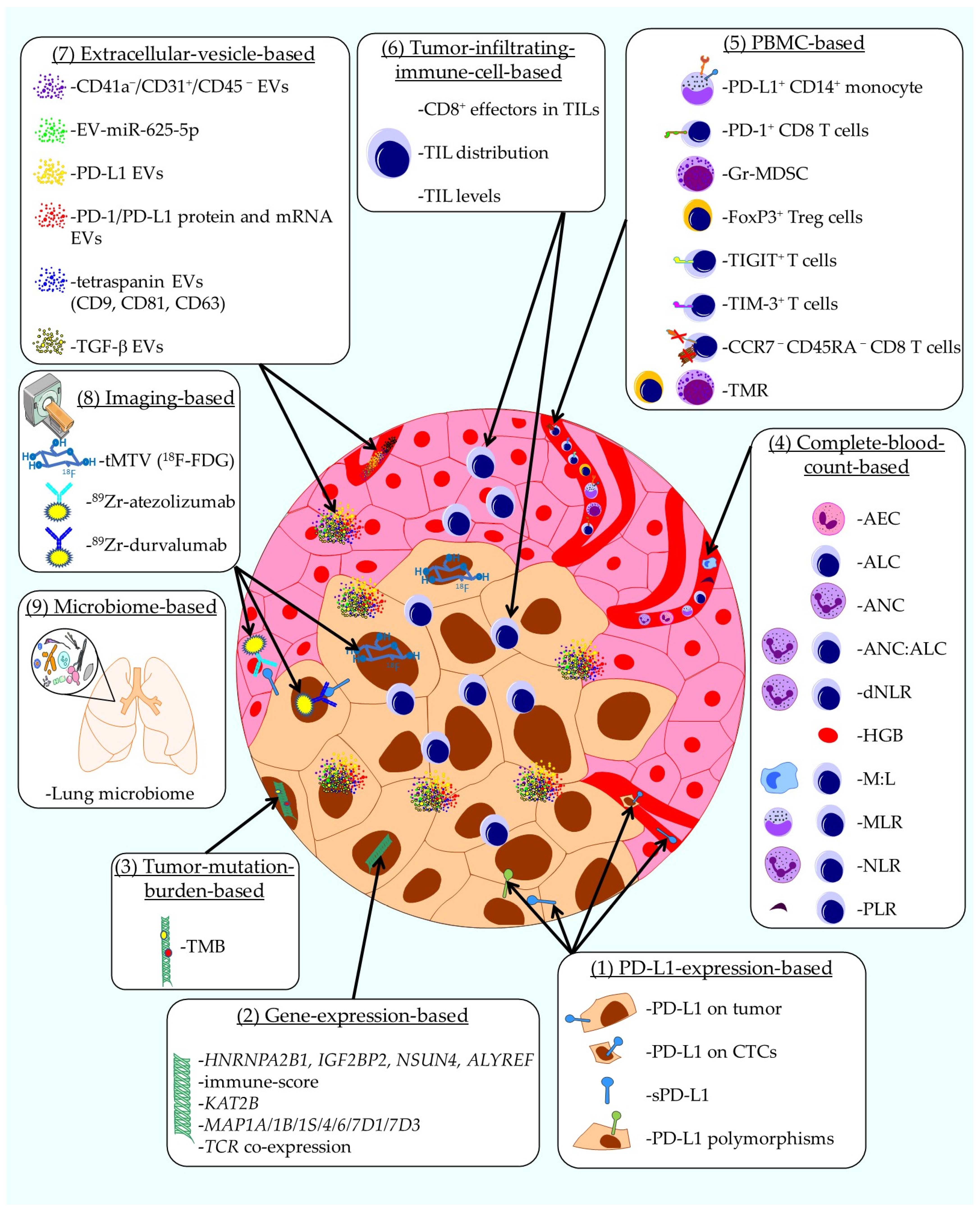 Ijms 26 10839 g001
