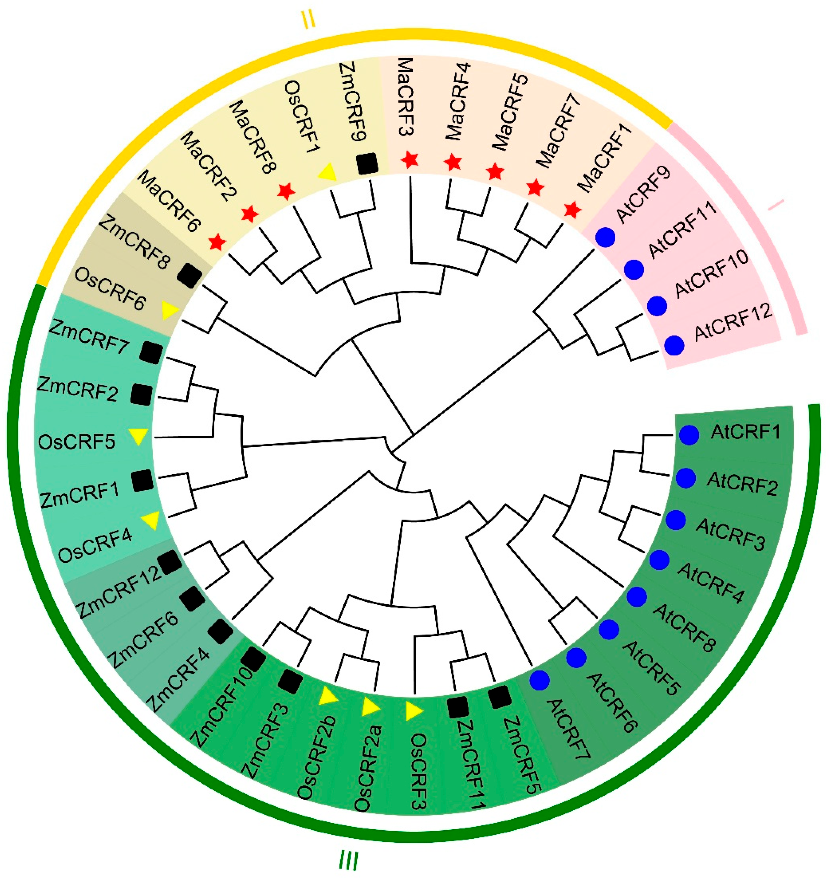 Ijms 26 11316 g001 Ijms 26 11316 g001