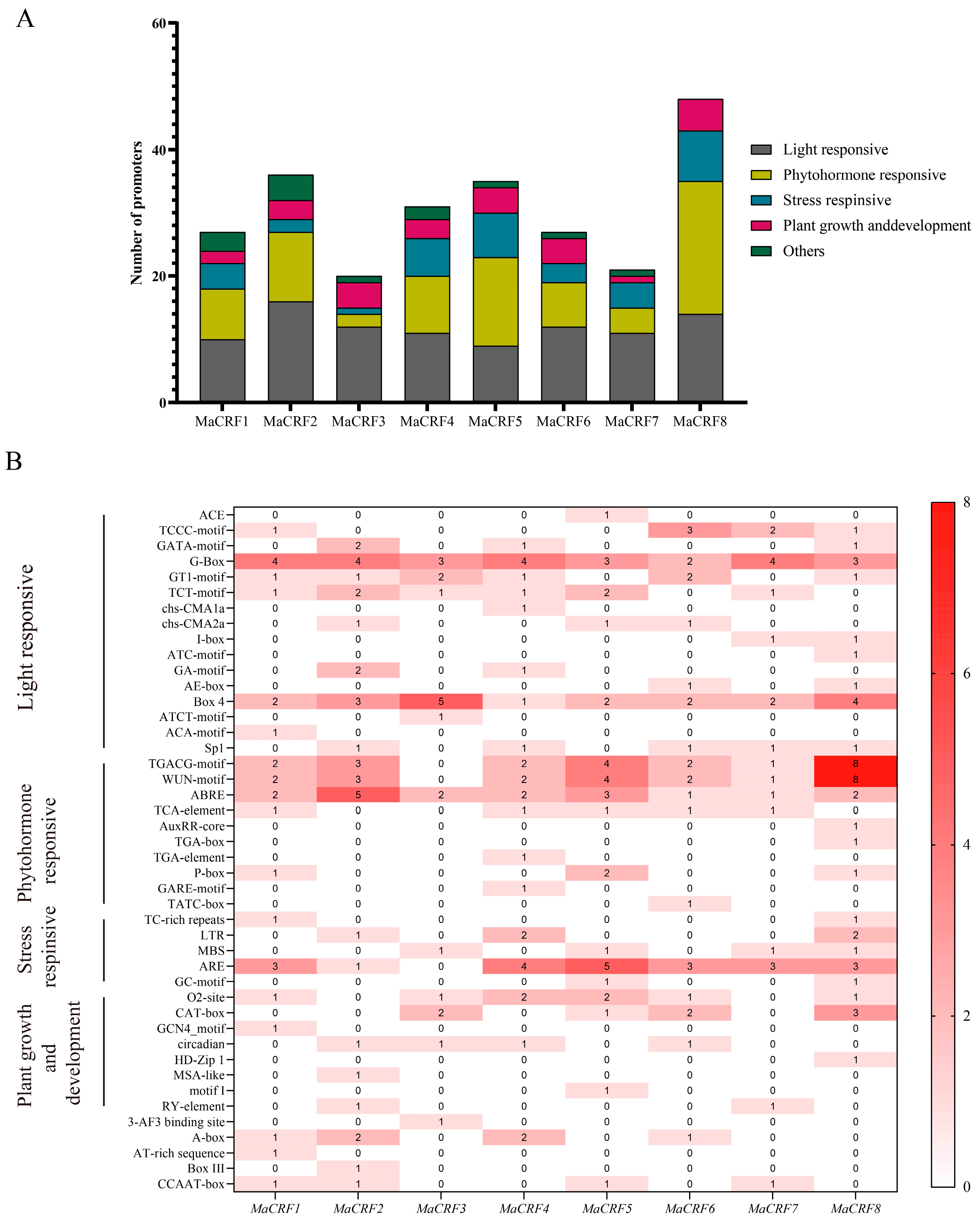 Ijms 26 11316 g002 Ijms 26 11316 g002