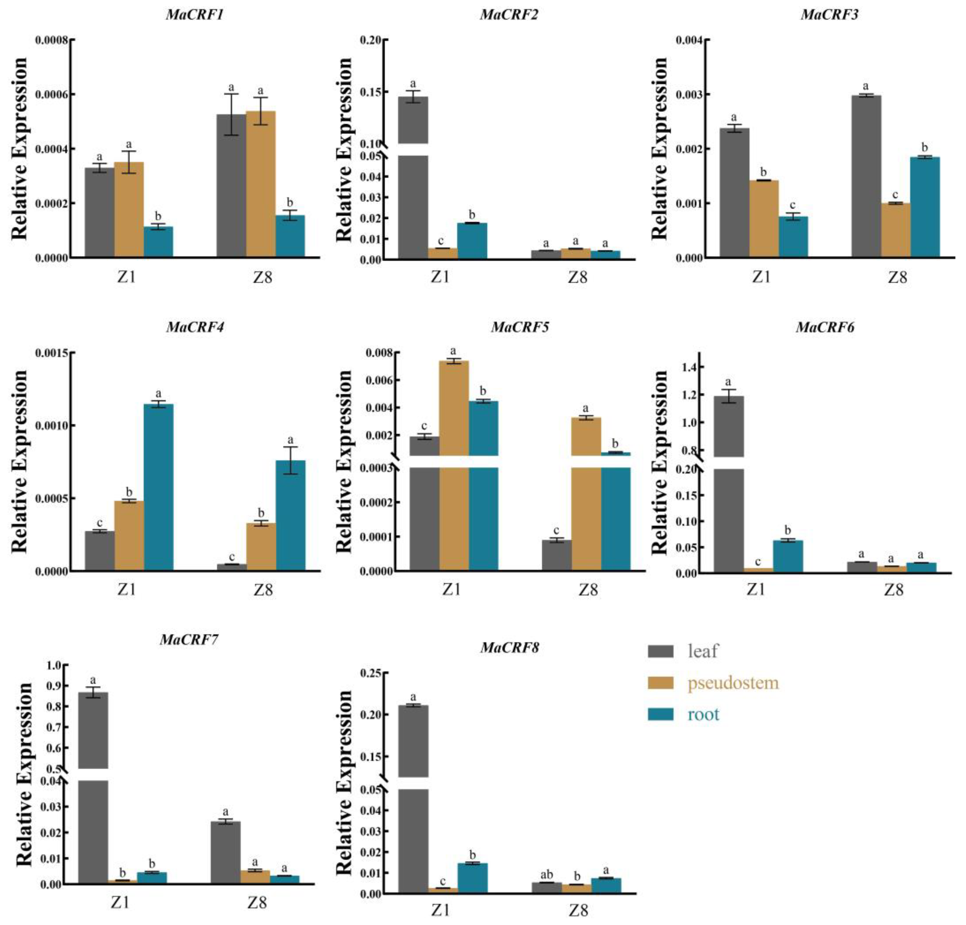 Ijms 26 11316 g004 Ijms 26 11316 g004