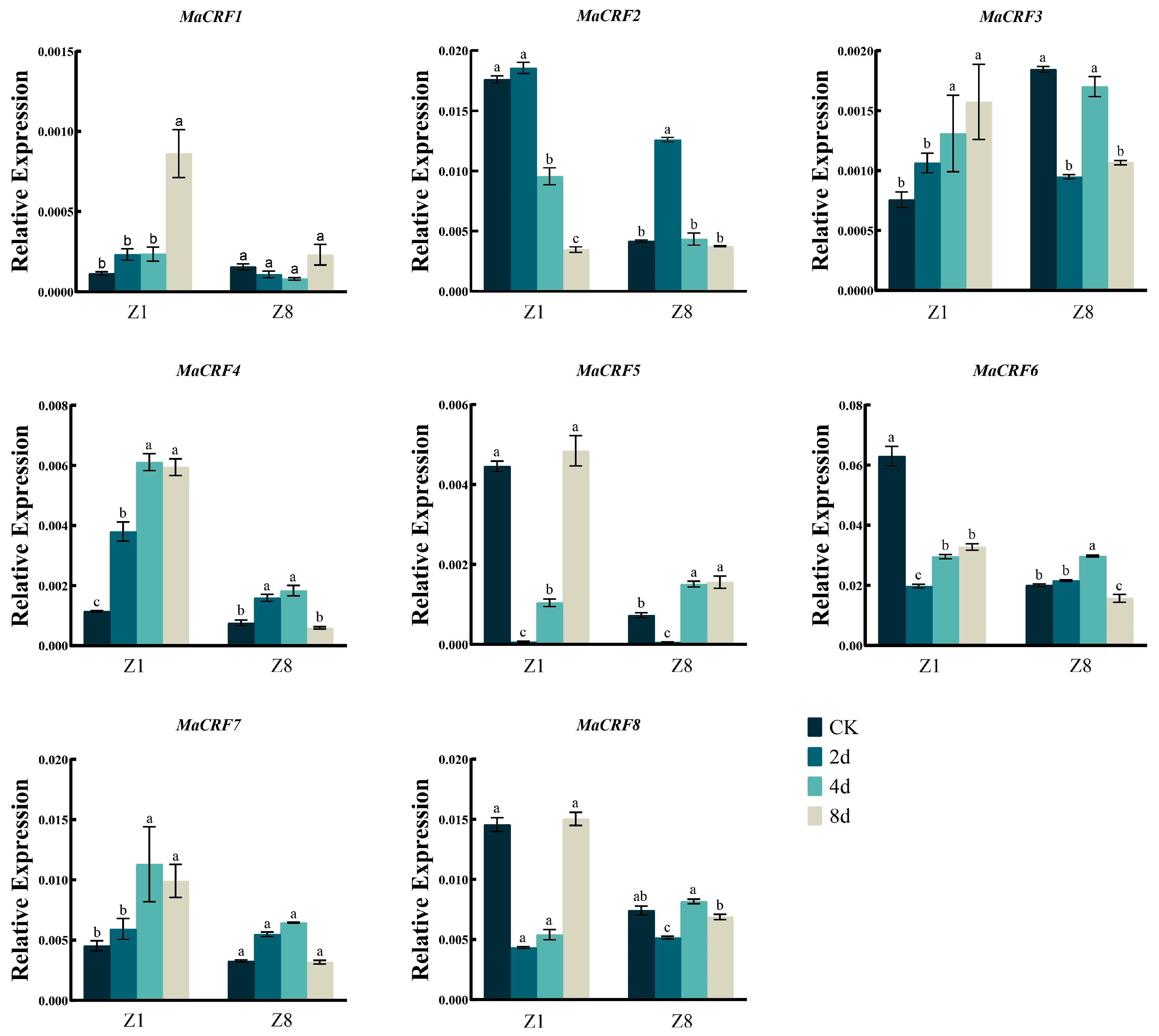 Ijms 26 11316 g005 Ijms 26 11316 g005