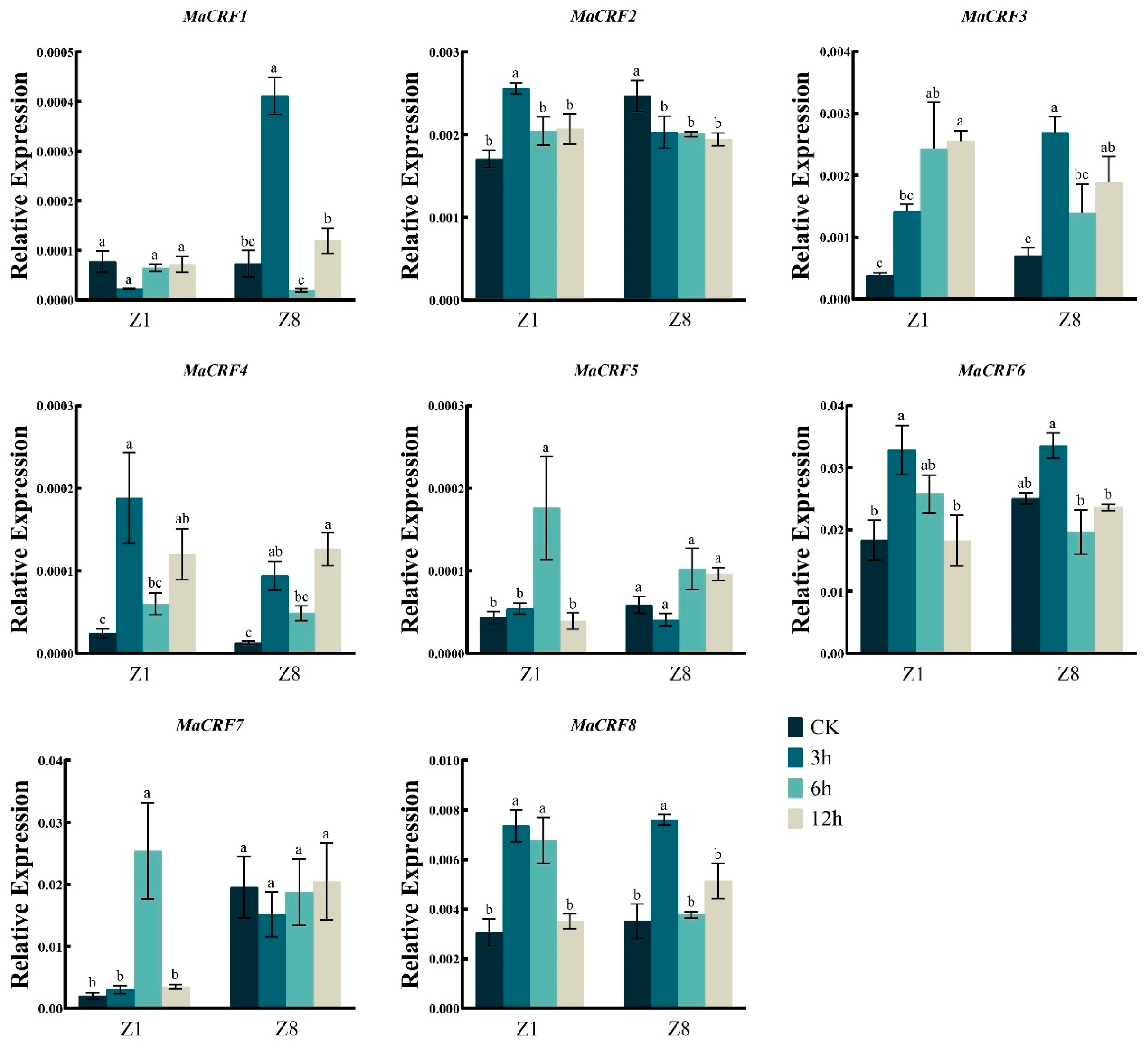 Ijms 26 11316 g006 Ijms 26 11316 g006