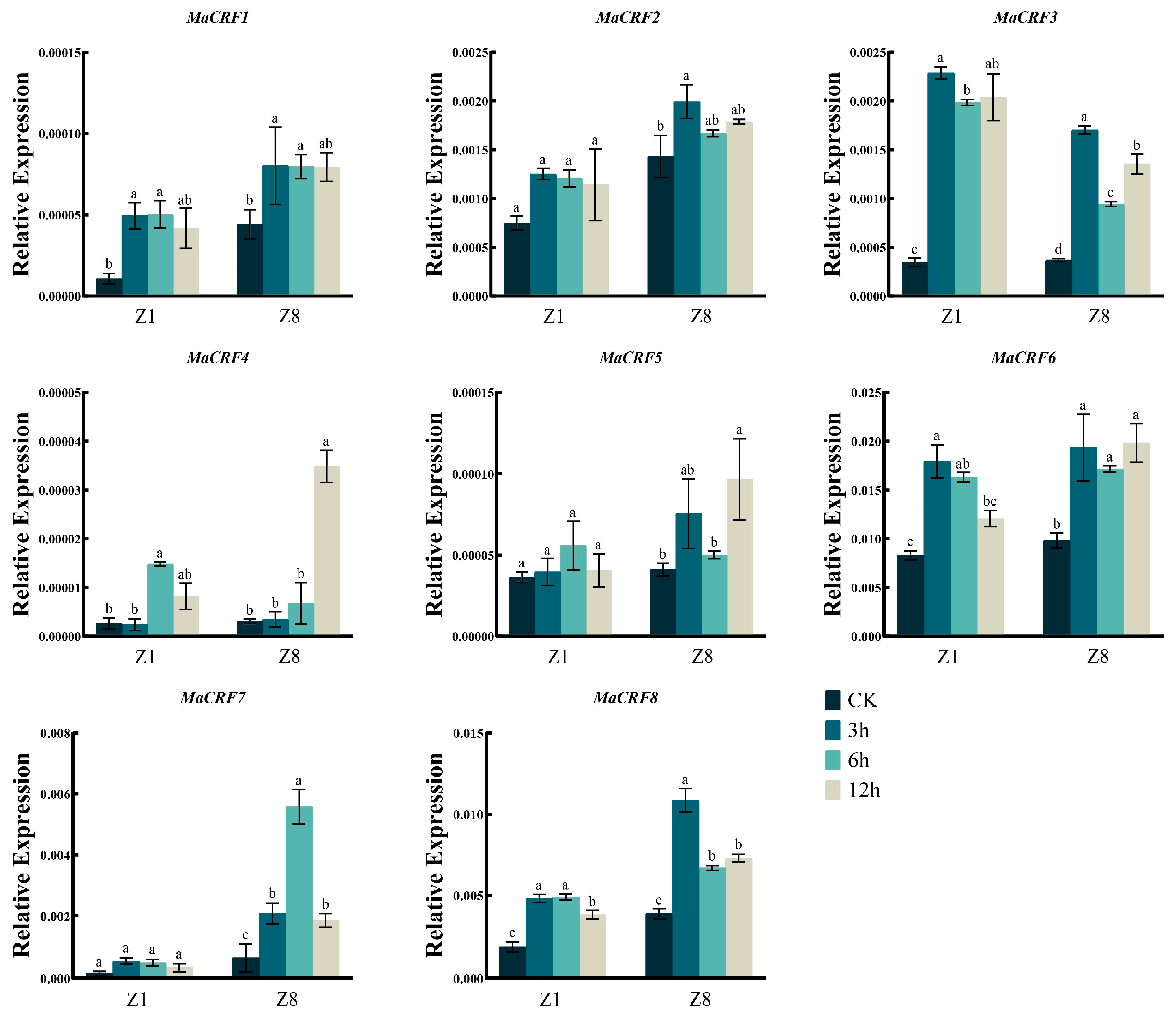 Ijms 26 11316 g007 Ijms 26 11316 g007