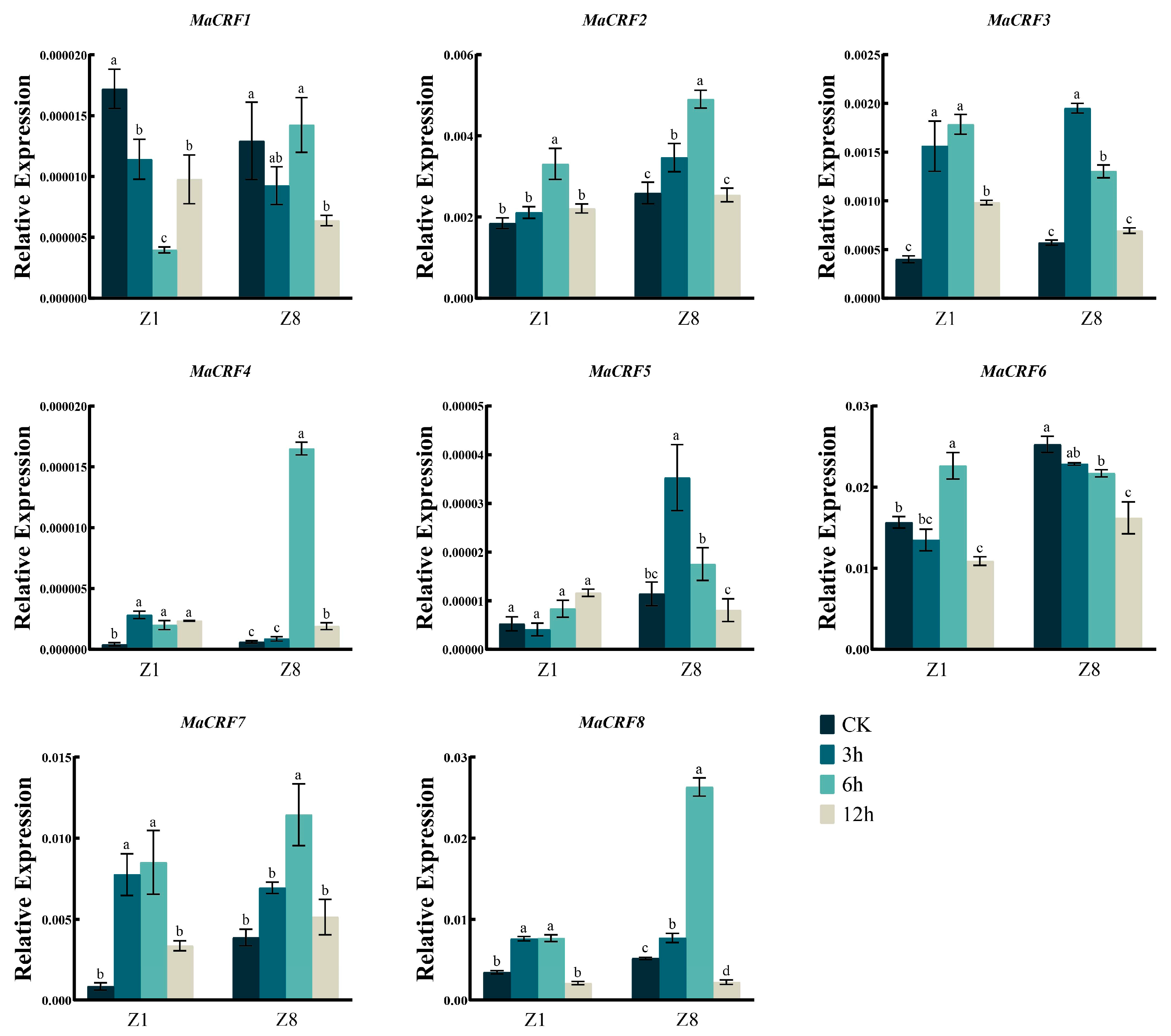 Ijms 26 11316 g008 Ijms 26 11316 g008