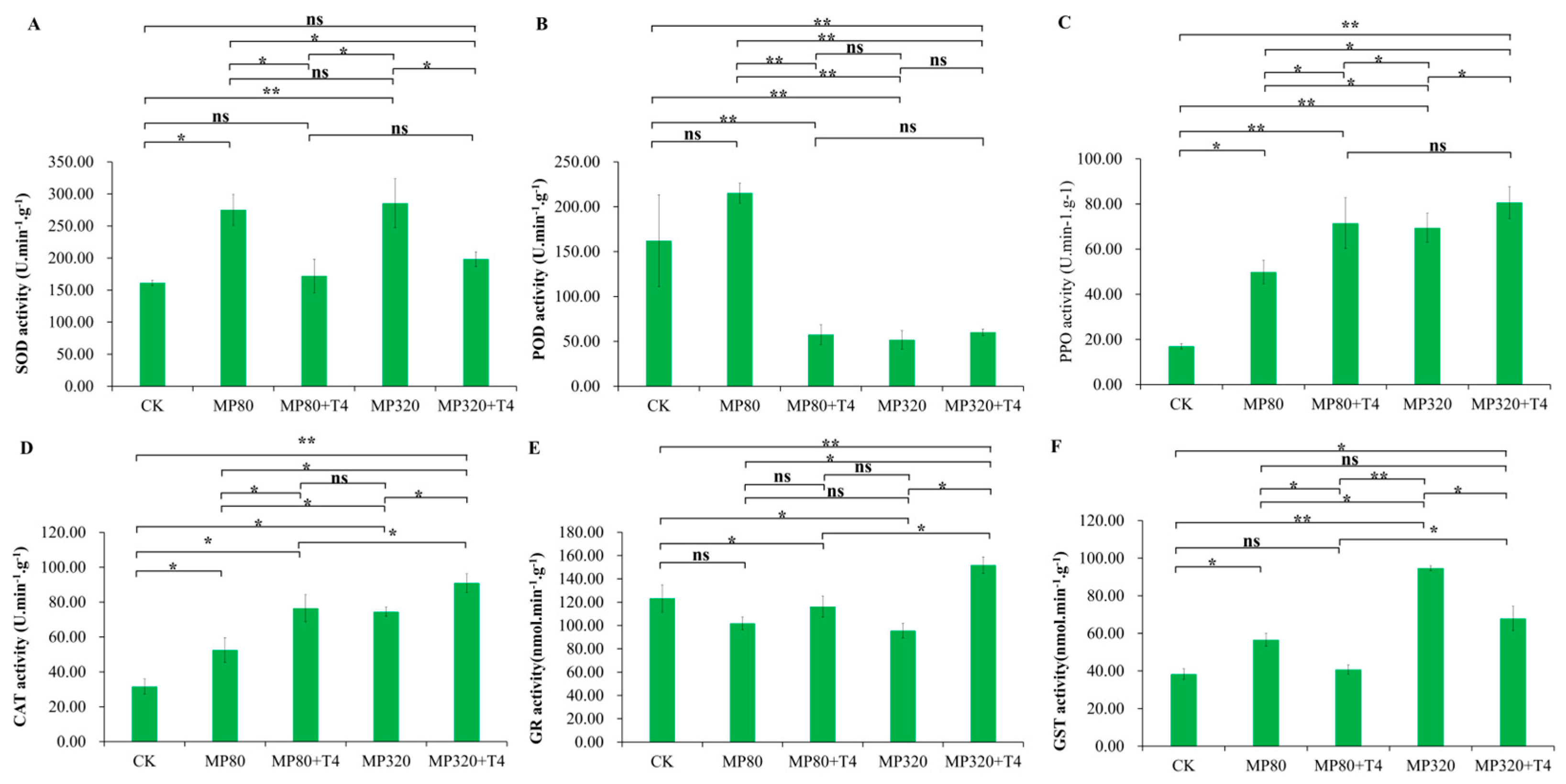Ijms 26 11667 g005 Ijms 26 11667 g005