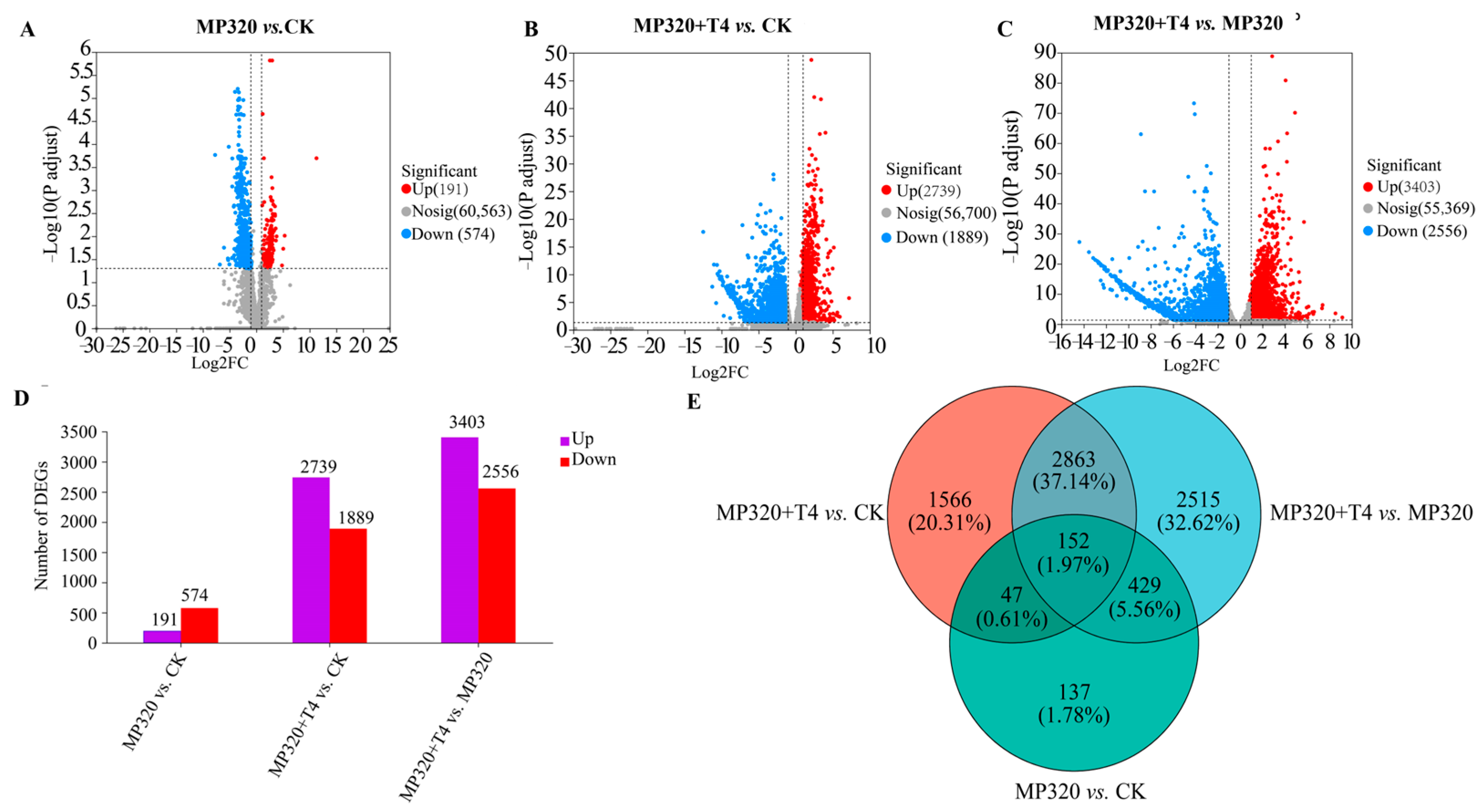 Ijms 26 11667 g007 Ijms 26 11667 g007
